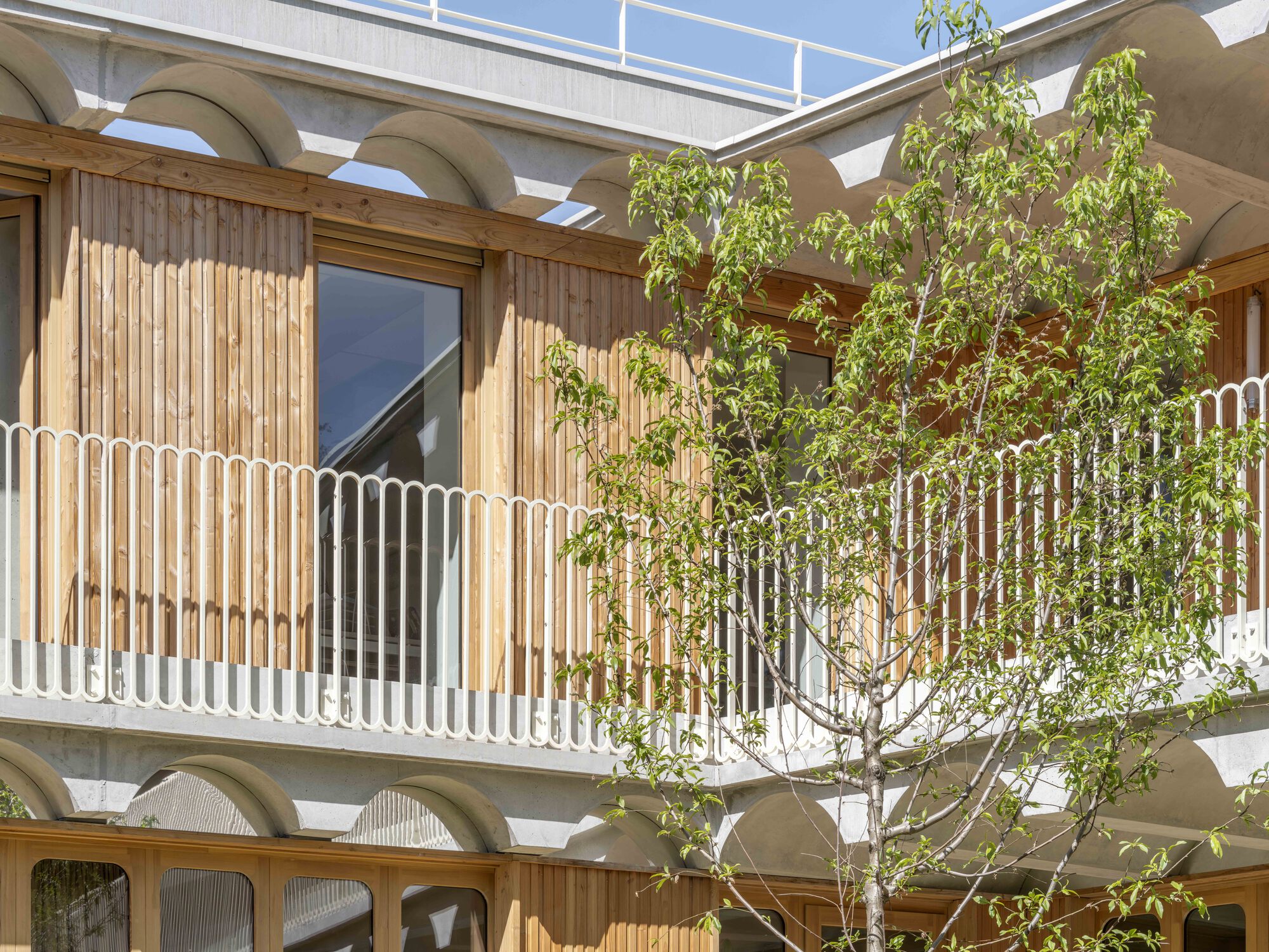Courtyard facade of vertical timber cladding and white looped balustrade behind a young tree in spring leaf
