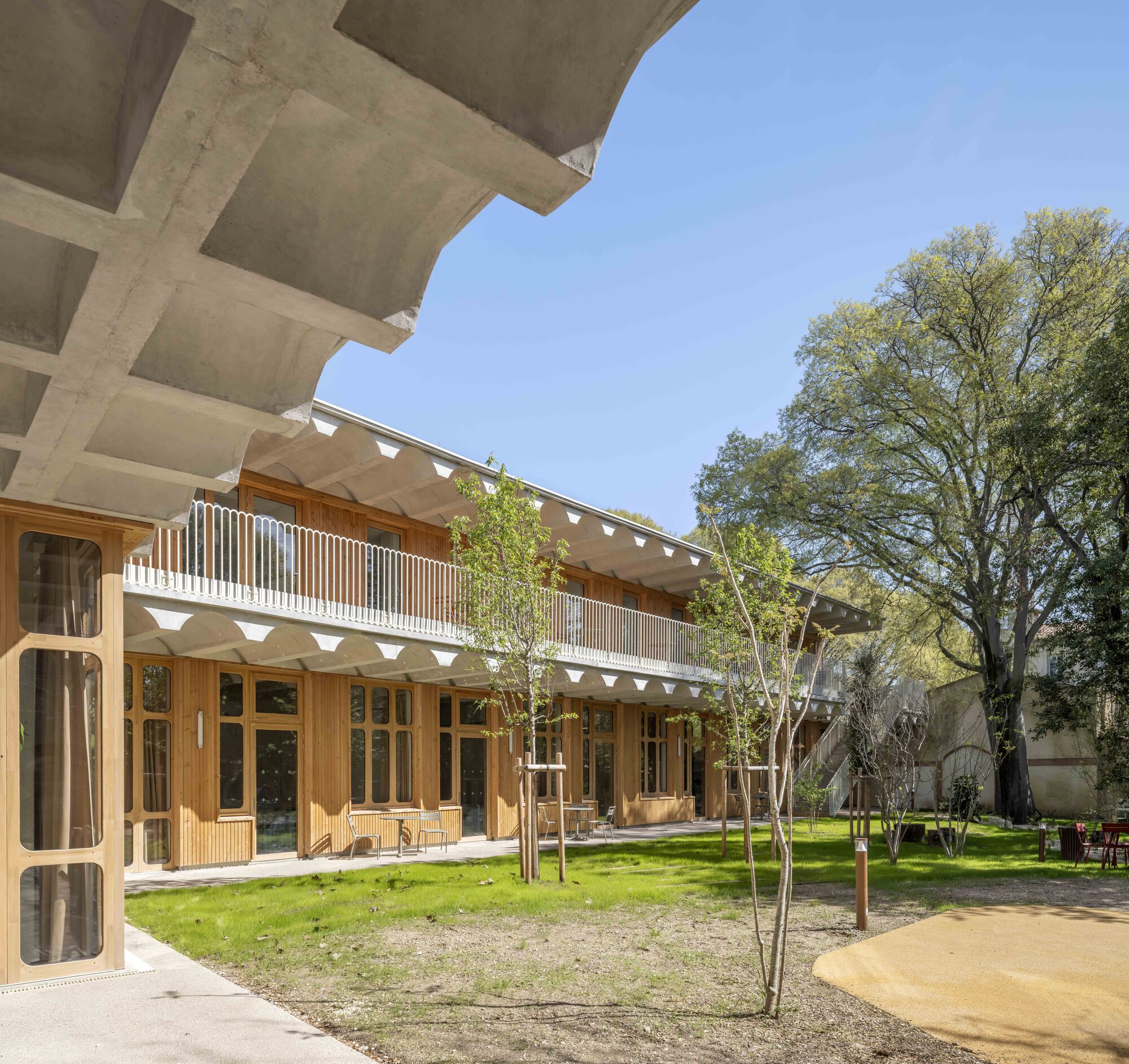 Corner view along the timber-clad courtyard wing beneath a ribbed concrete canopy, young trees and fresh lawn in clear spring sun