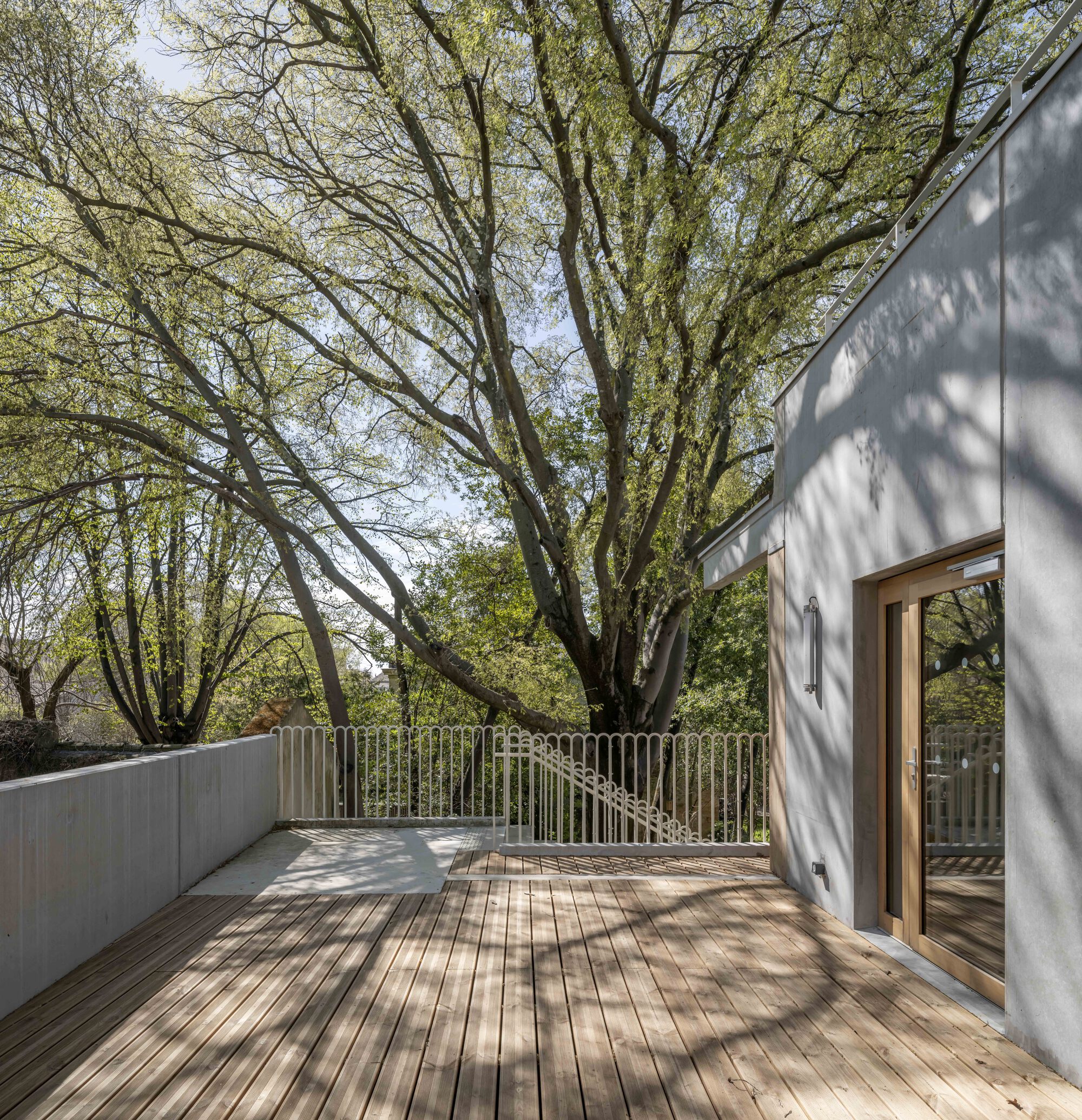 Timber-decked roof terrace with a white railing and concrete walls, dappled with shadow from a large tree canopy overhead