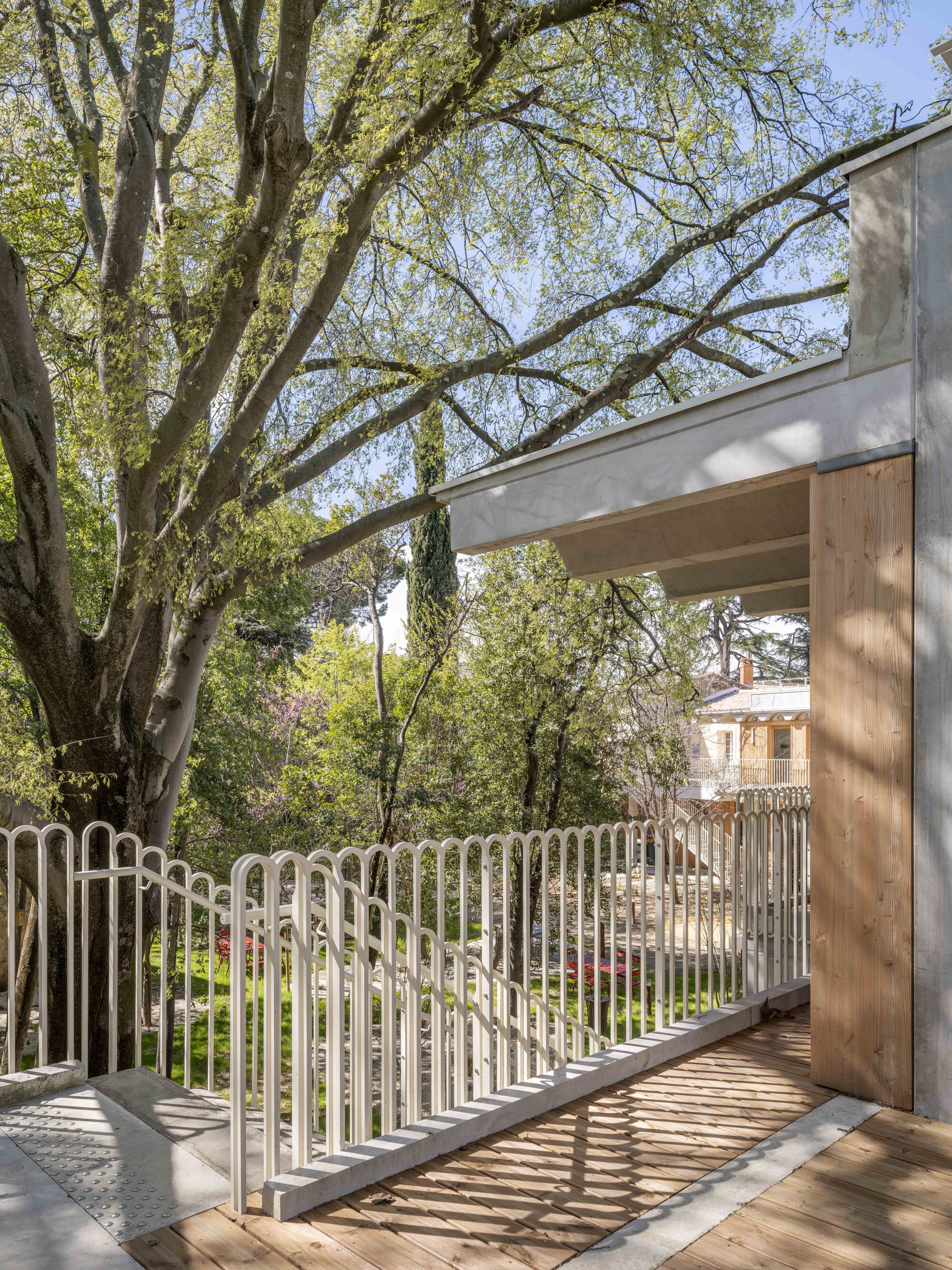 Timber deck terrace with slender white metal railing beneath a concrete canopy and a large budding tree in spring light