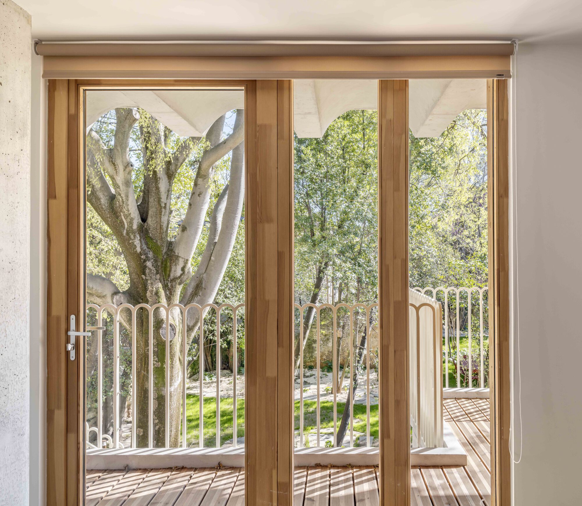 Timber-framed glass doors opening onto a slatted deck with a white scalloped railing and a pale-trunked tree in spring light