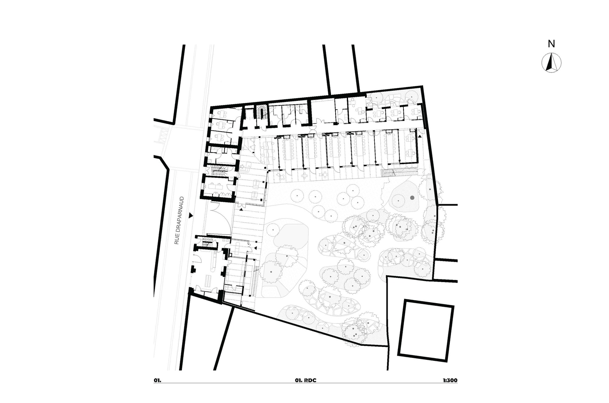 Ground floor plan drawing showing an L-shaped building along the street, with rooms opening onto a landscaped garden courtyard with trees