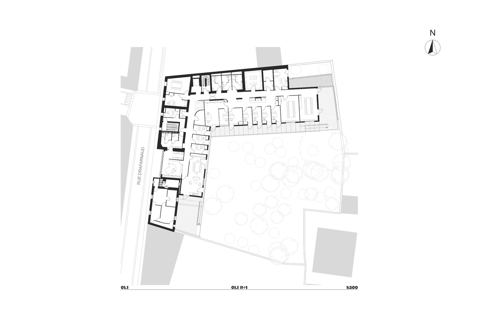First floor plan drawing showing offices and meeting rooms in an L-shaped layout above the tree-filled garden