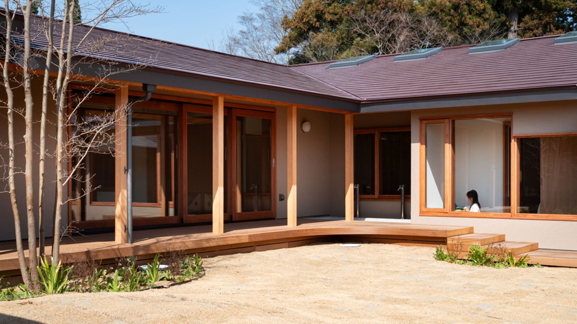 Curved timber deck wrapping a gravel courtyard in front of sliding timber-framed glazing and a low purple-brown pitched roof, in bright sun