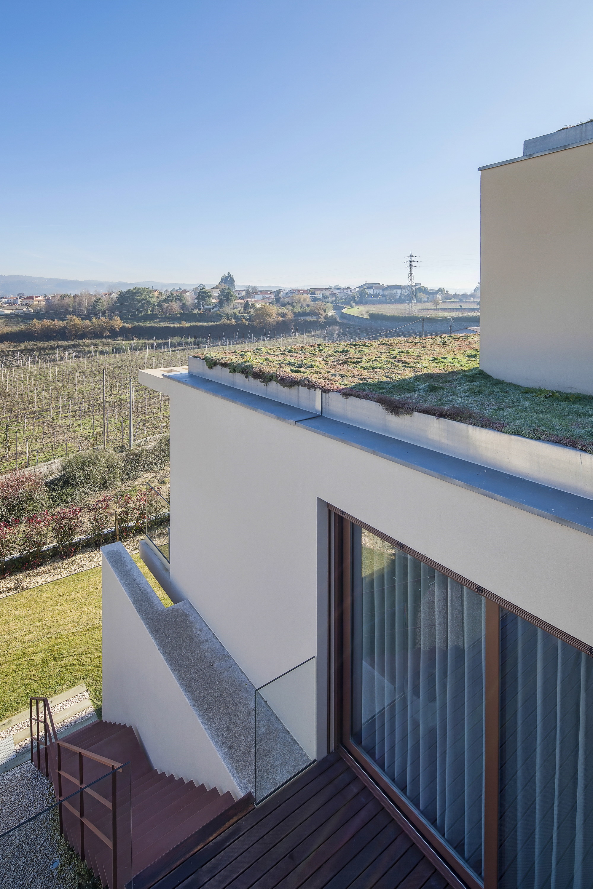 Looking down from an upper terrace at a green roof, timber deck, glass balustrade and vineyard rows beyond in clear light