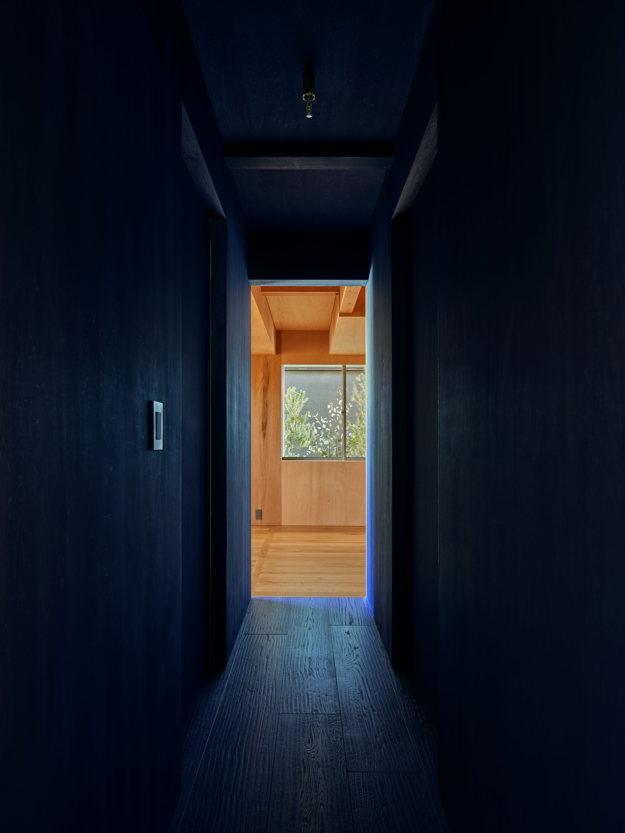 Dark blue-stained corridor with a switch on the wall, opening to a bright plywood room and blossoming tree