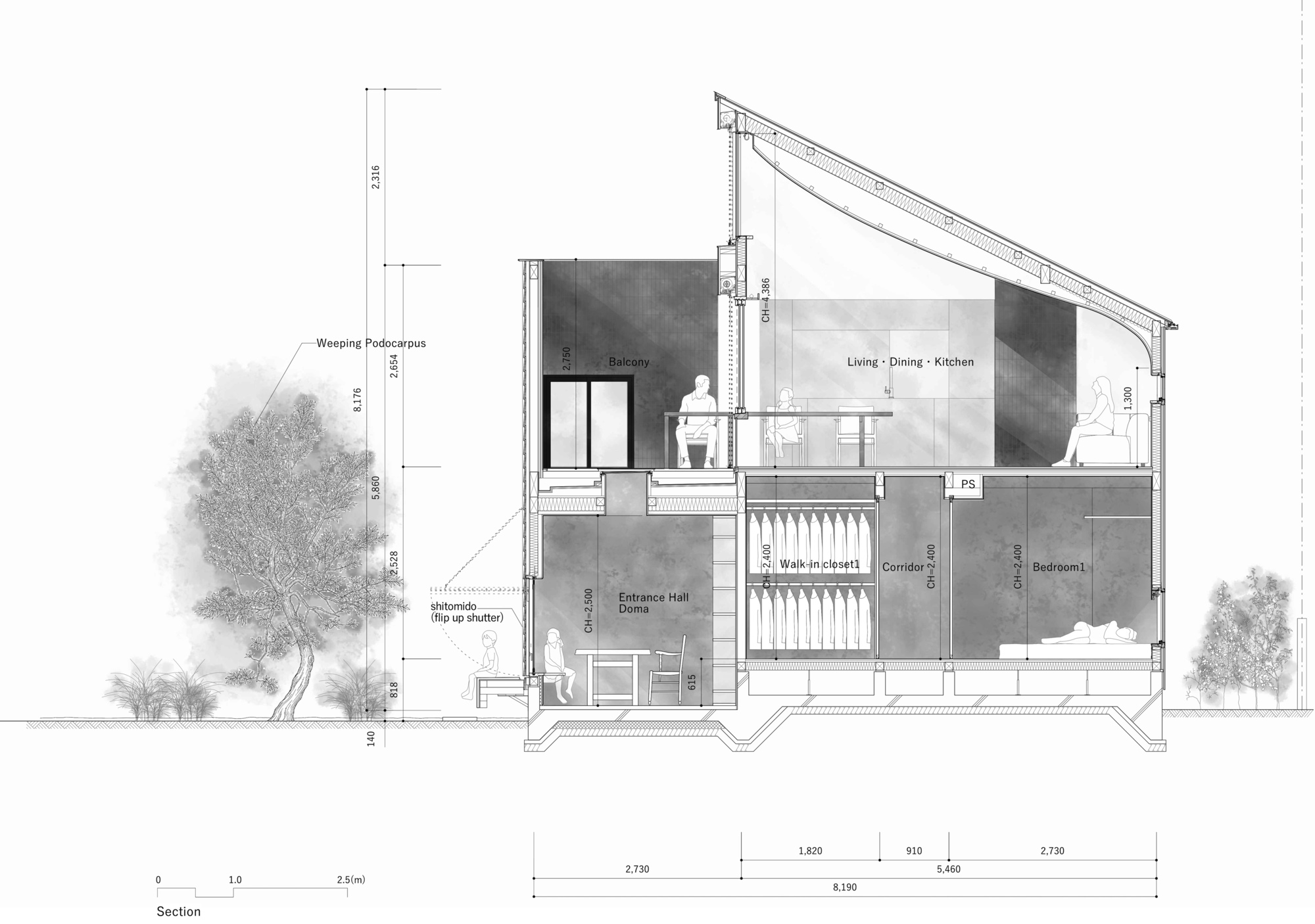 Section drawing showing a sloping roof over the upper living space, with bedrooms and entrance hall below and a tree at left
