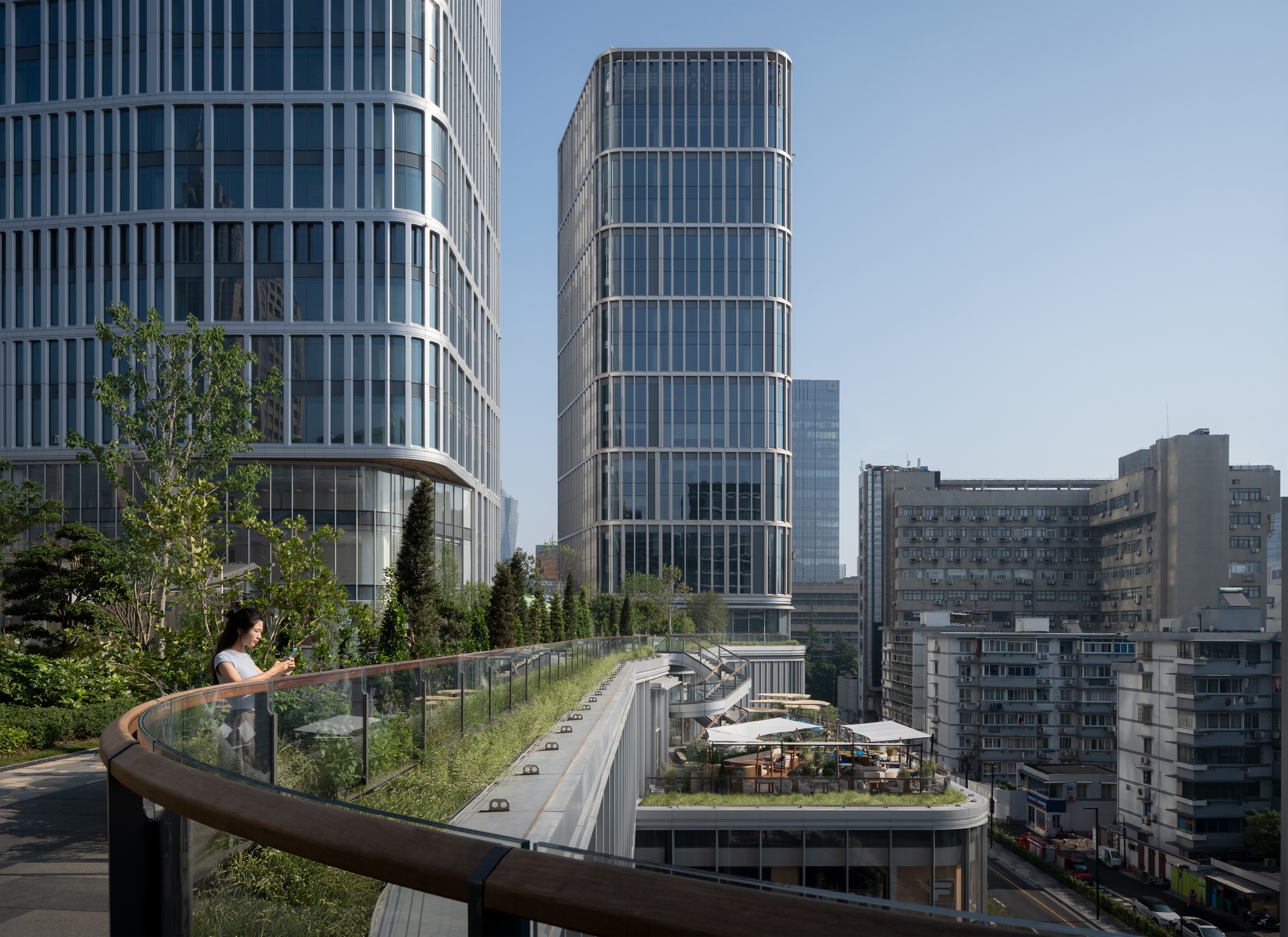 Rooftop terrace with a curved timber handrail and planted edge, overlooking a glass tower and older apartment blocks in clear daylight