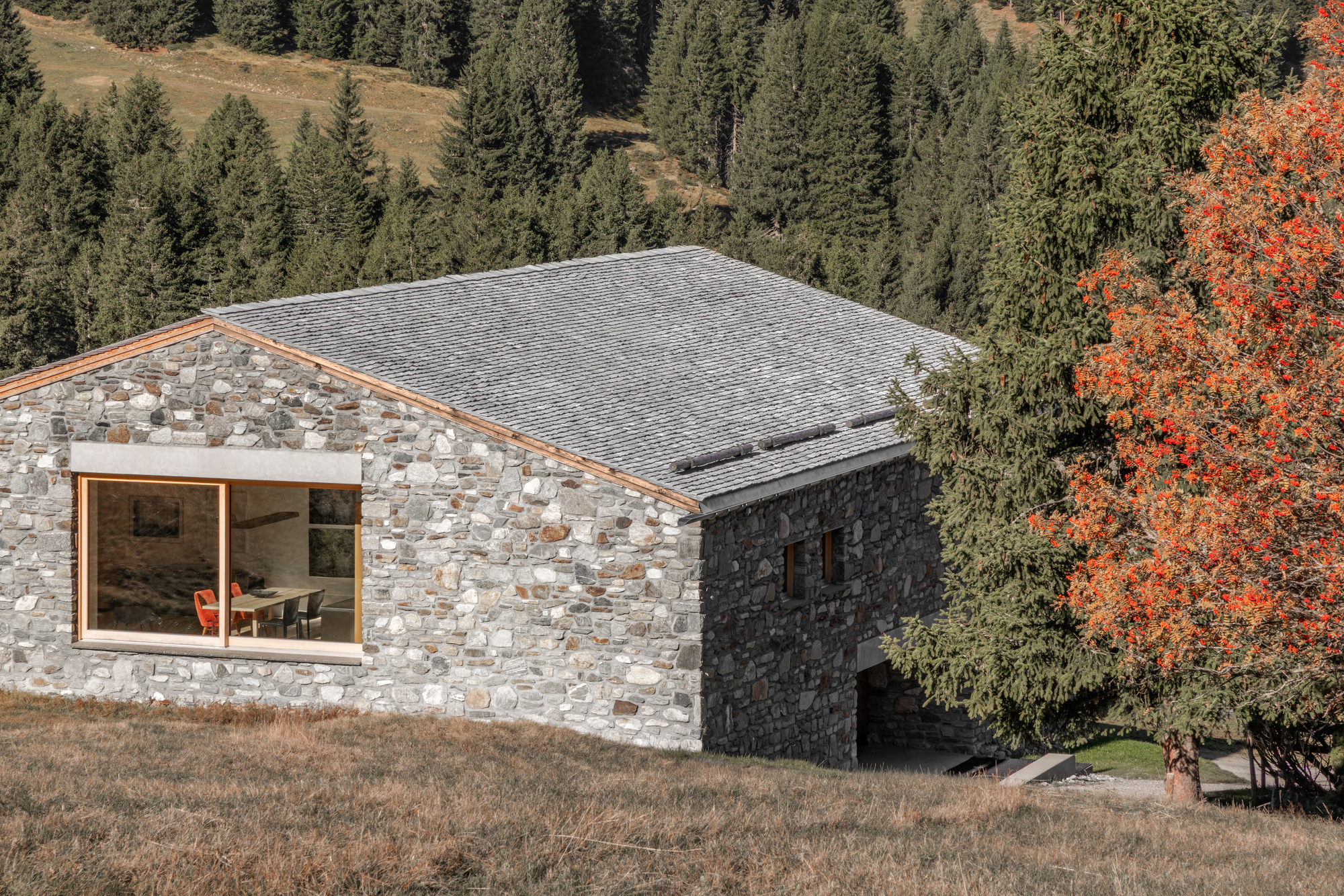 Stone farmhouse with slate roof and large timber-framed corner window, set in dry autumn grass beside a rowan tree in red fruit