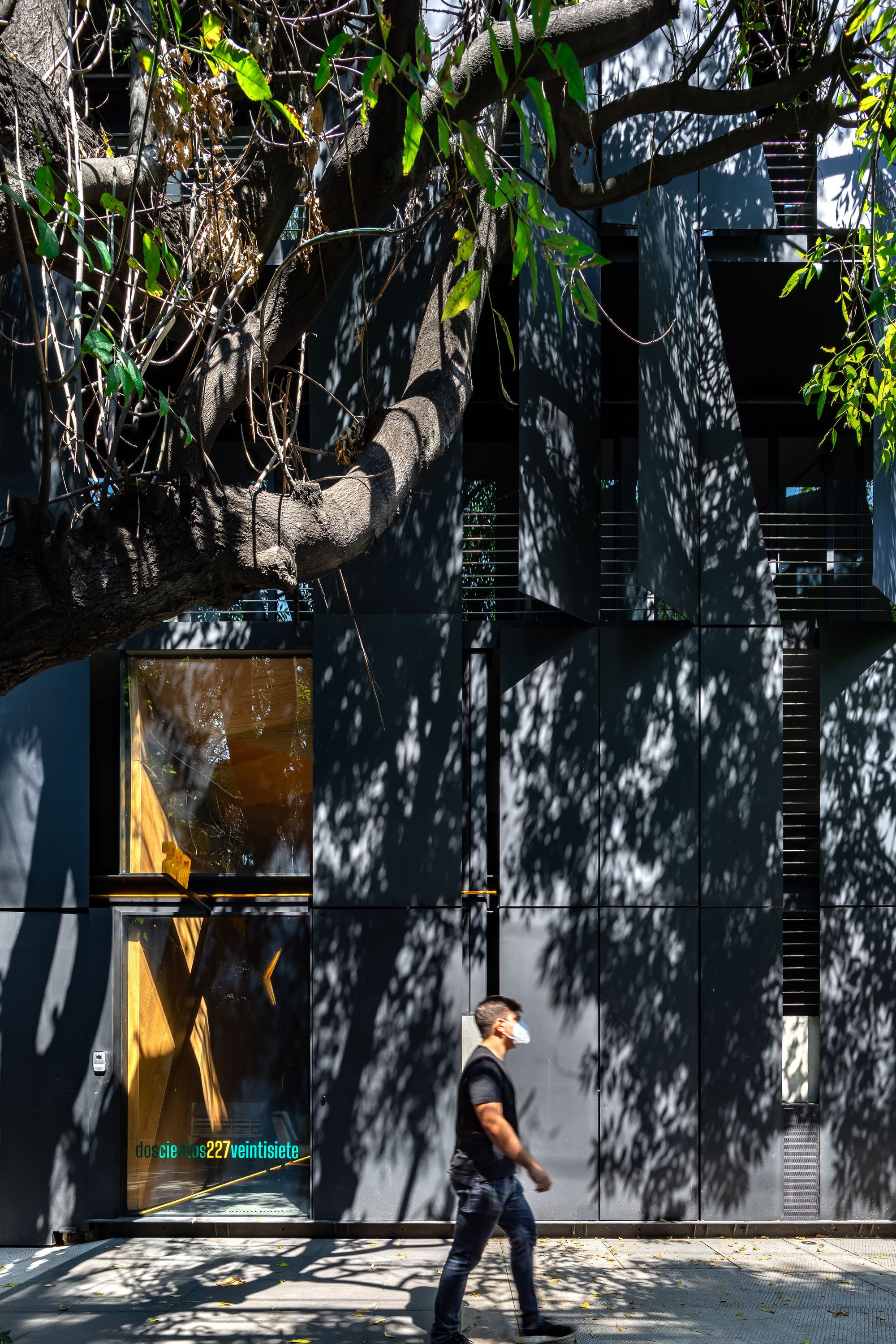 Dark metal-panel facade covered in leaf shadows from a large tree branch, with a masked pedestrian walking past the glazed entrance