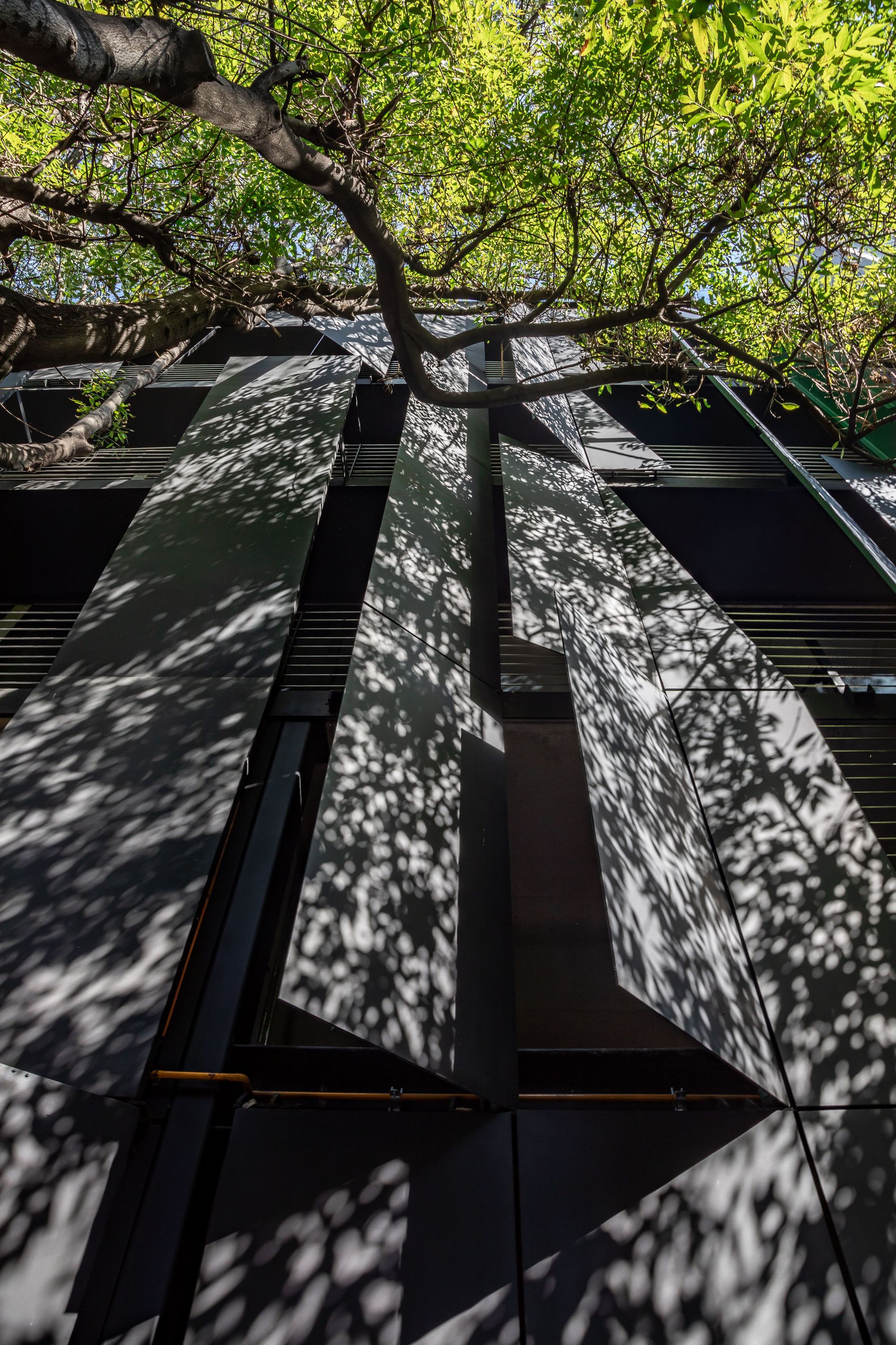 Upward view of angled dark metal fins on the facade, dappled with sunlight filtering through tree foliage
