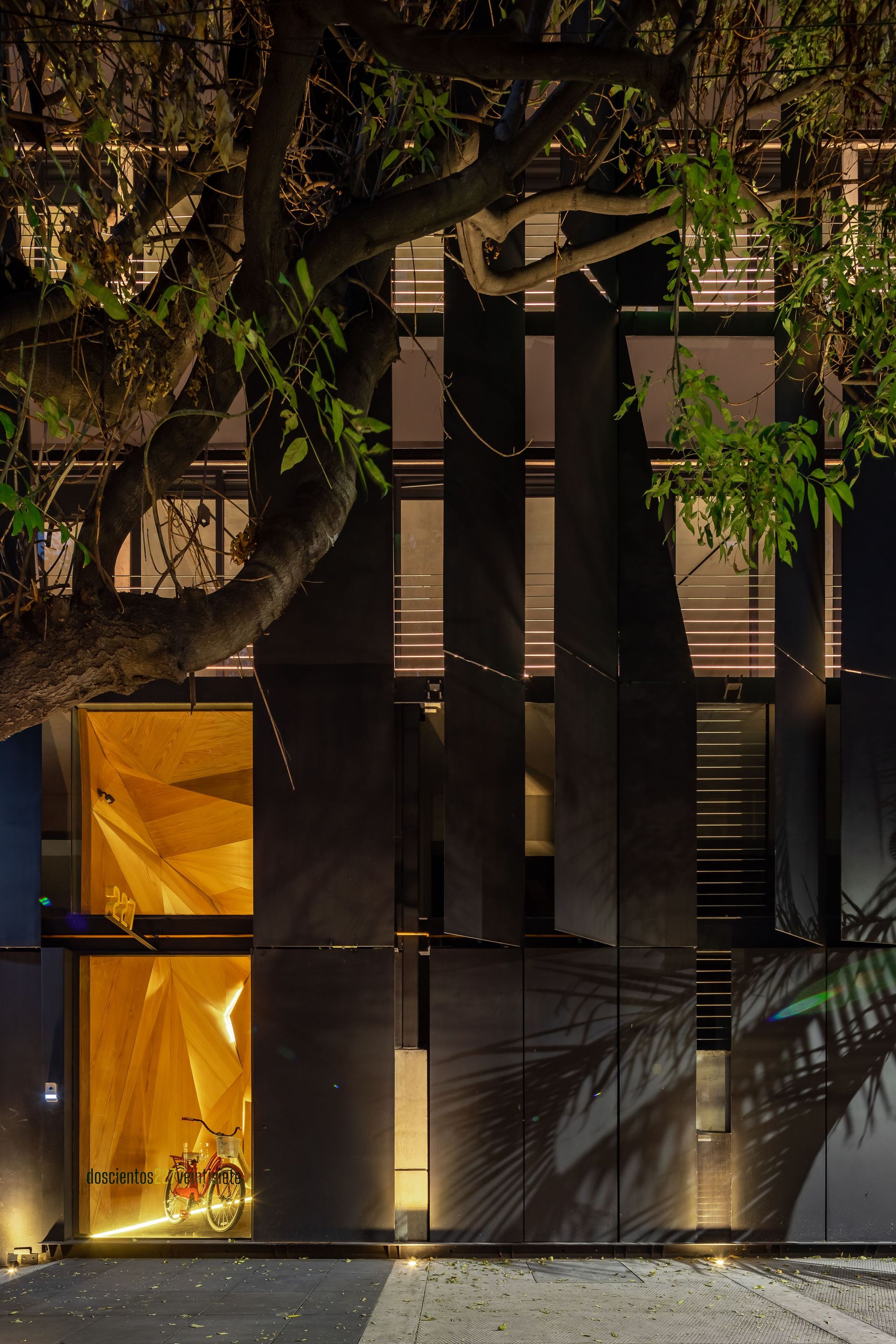 Street-level facade of dark vertical panels with a faceted timber-lined window glowing behind a tree branch, a red bicycle inside