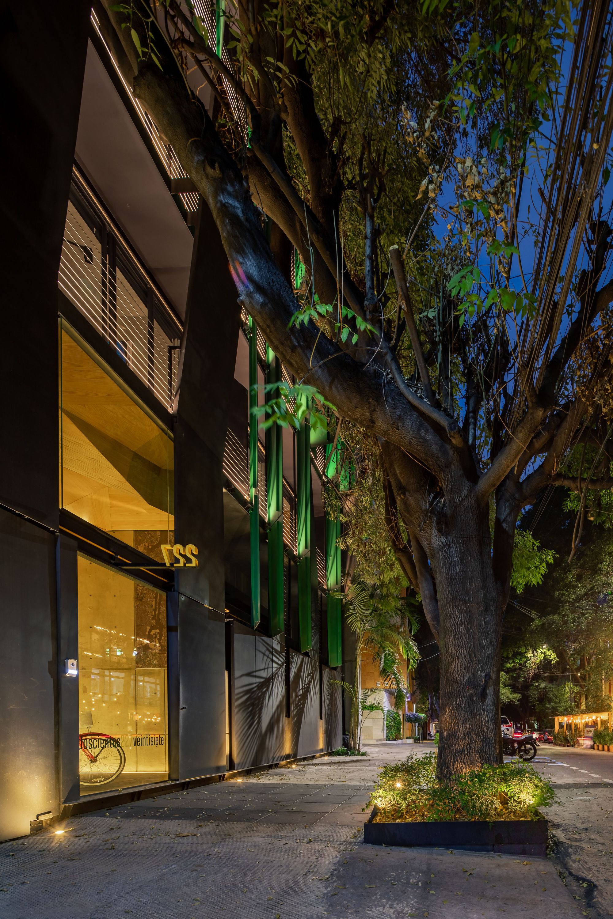 Sidewalk view of the dark facade with green vertical fins and a lit ground-floor window, a large tree in a planter at night