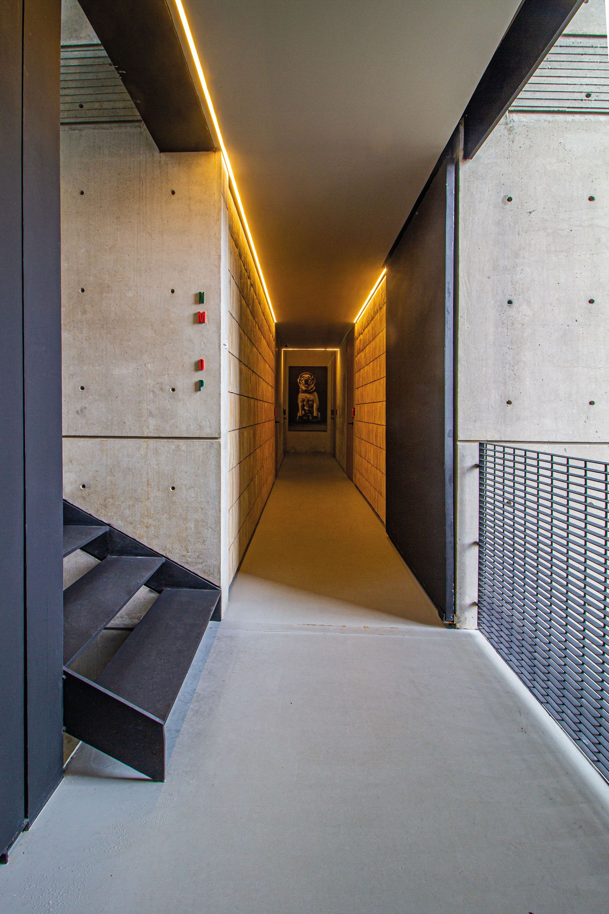 Concrete corridor with a black steel stair, a mesh railing and warm linear ceiling lights leading to a framed dog portrait