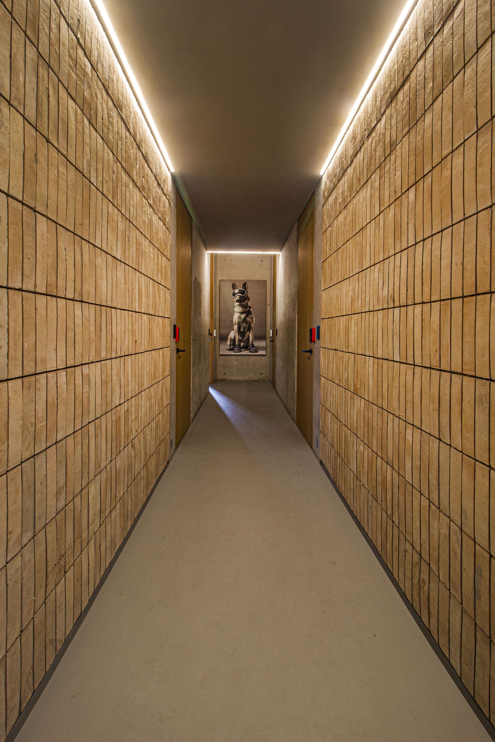 Long hallway lined with vertical brick-slip walls and strip lights, ending at a framed portrait of a seated bulldog