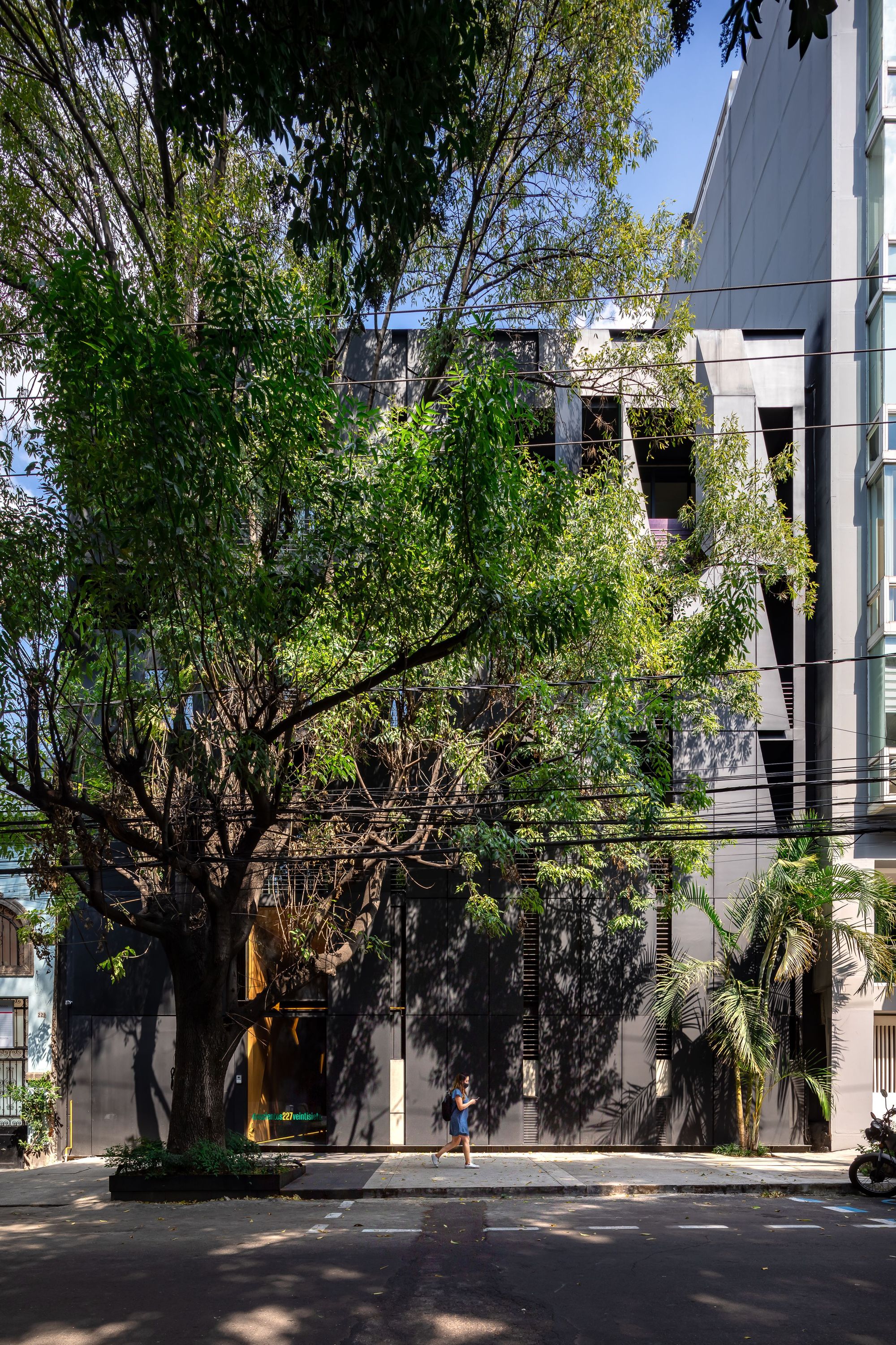 Street facade of dark metal panels behind a large leafy tree, with a pedestrian walking past in dappled midday shade