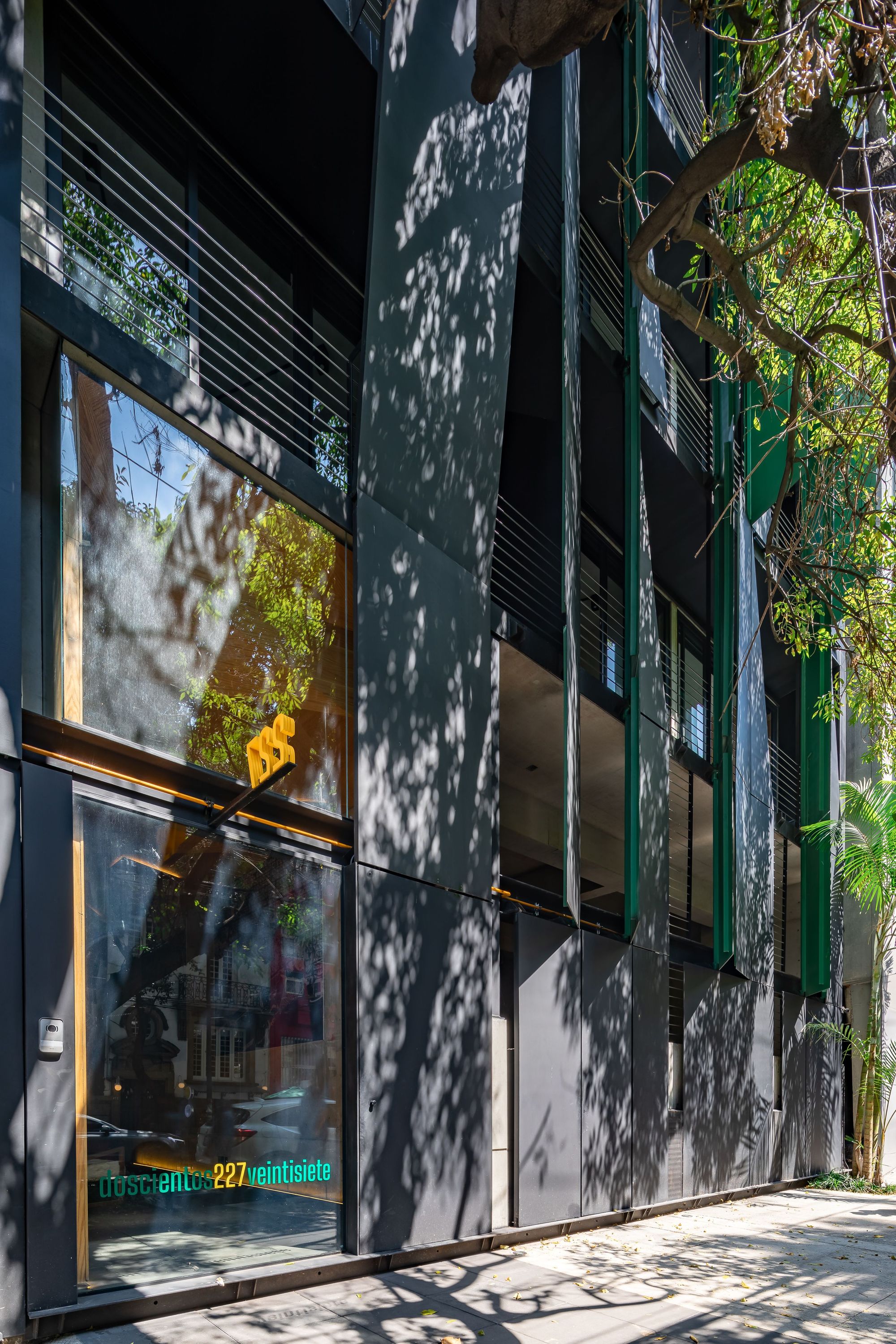 Close view of the dark metal street facade with green fins and a glazed entrance, covered in tree shadows