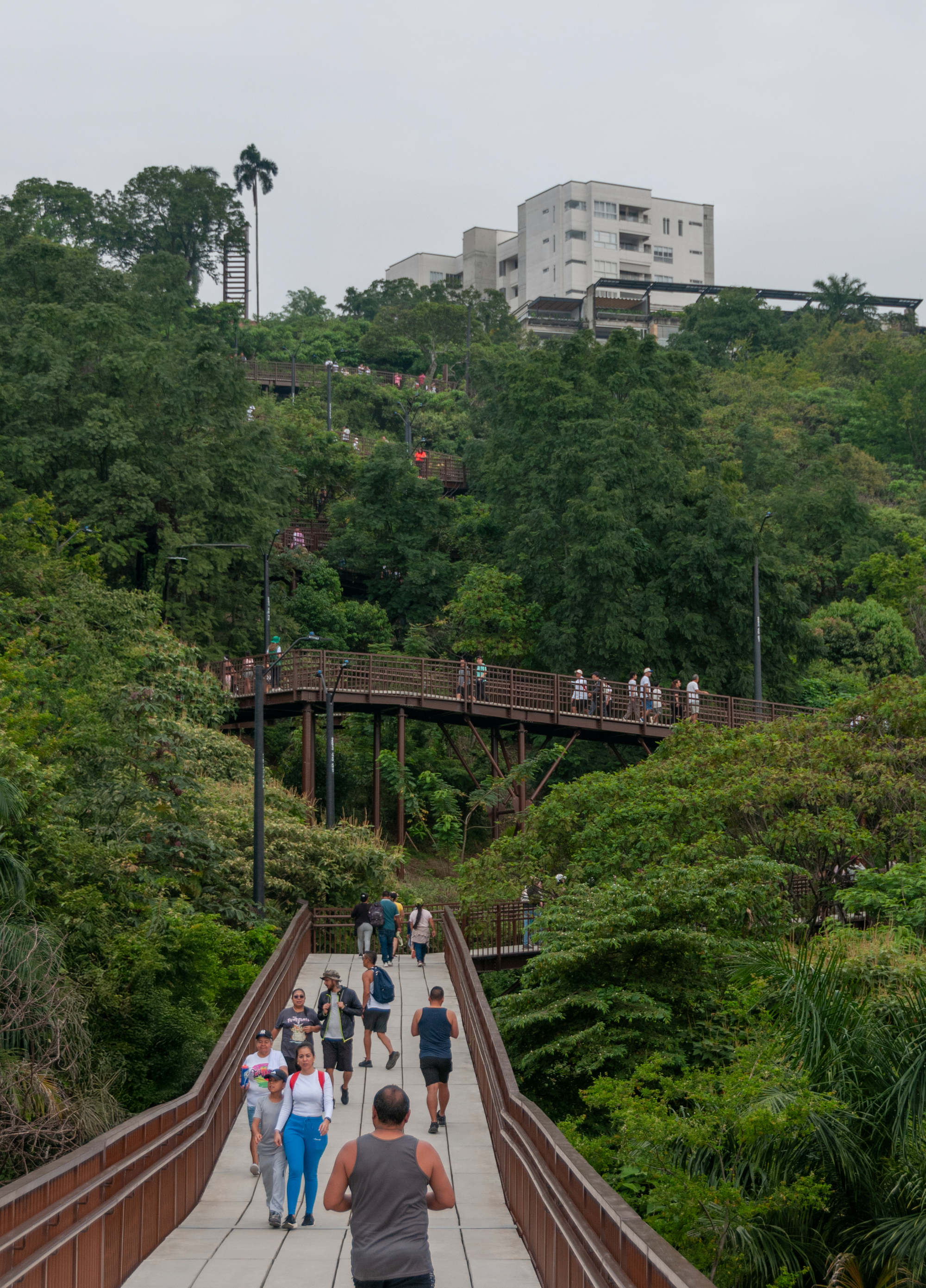 Pedestrians crossing a long elevated boardwalk with brown railings that climbs a forested slope toward a white apartment block
