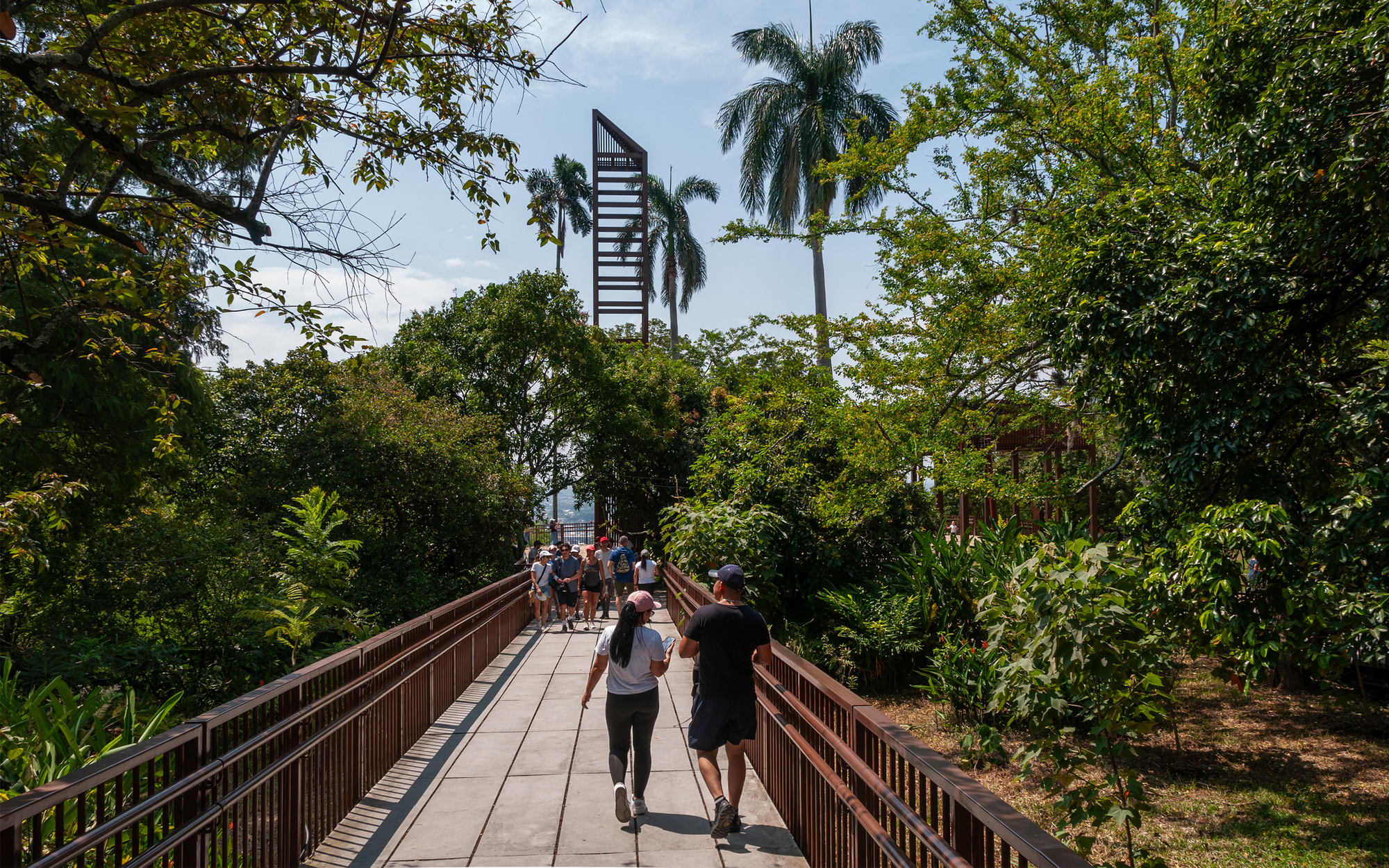 Walkers on a straight timber-railed bridge under palms and tall trees, with a slatted tower ahead in dappled afternoon sun