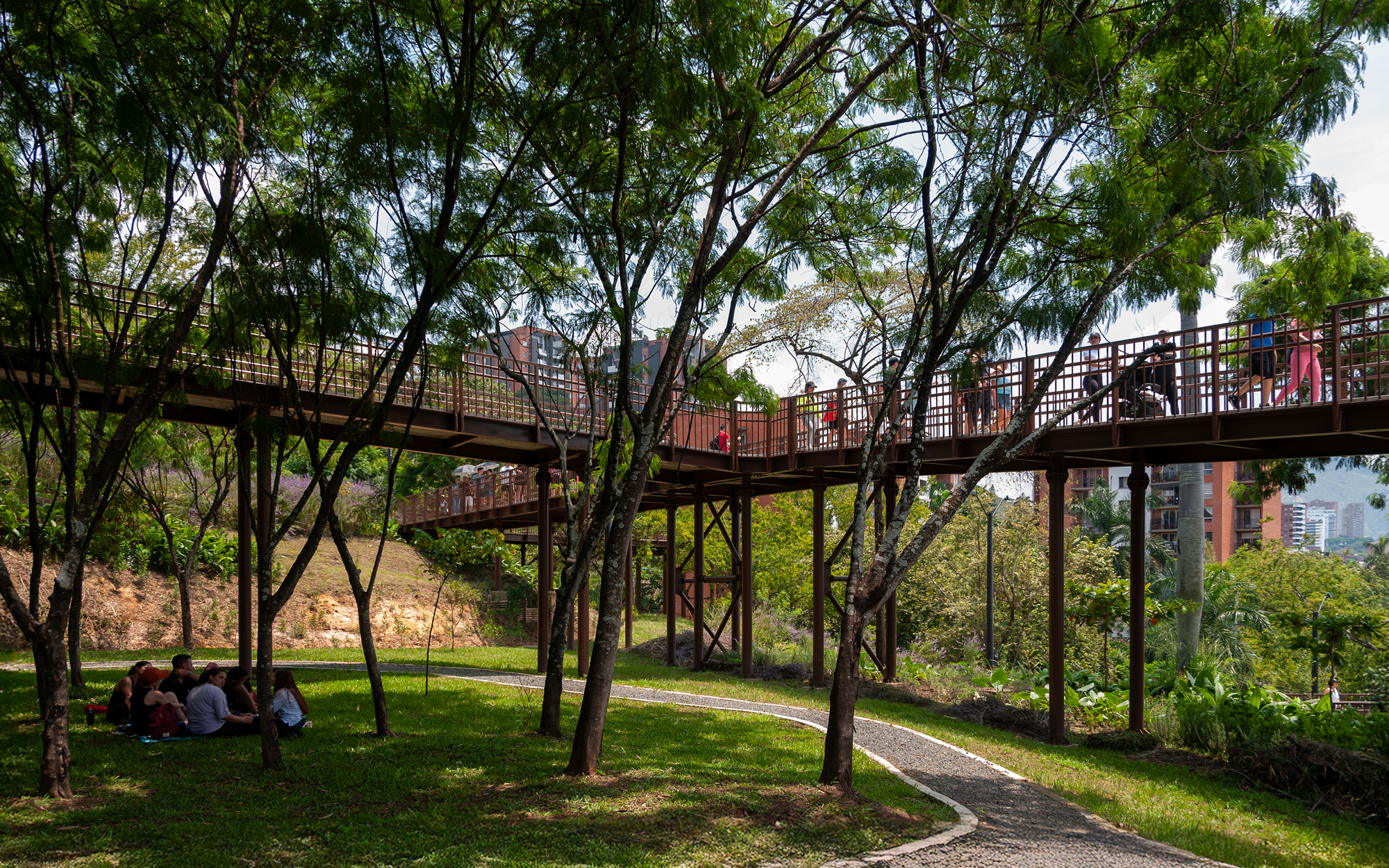 Raised steel walkway on slender columns crossing over a lawn, with visitors resting under feathery trees beside a gravel path