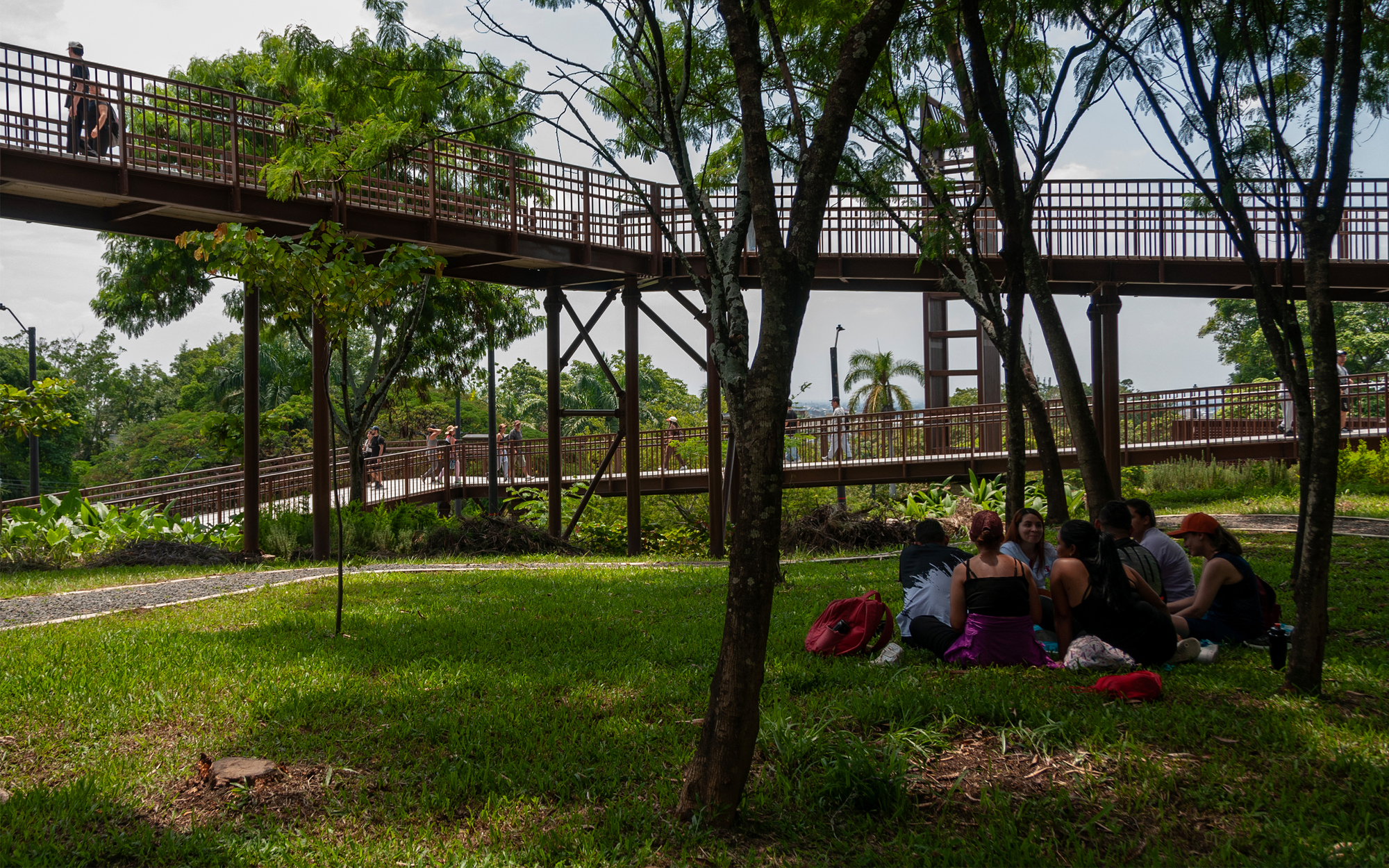 Group of people seated on grass beneath the elevated rust-brown walkway, with railings and palms behind in dappled light