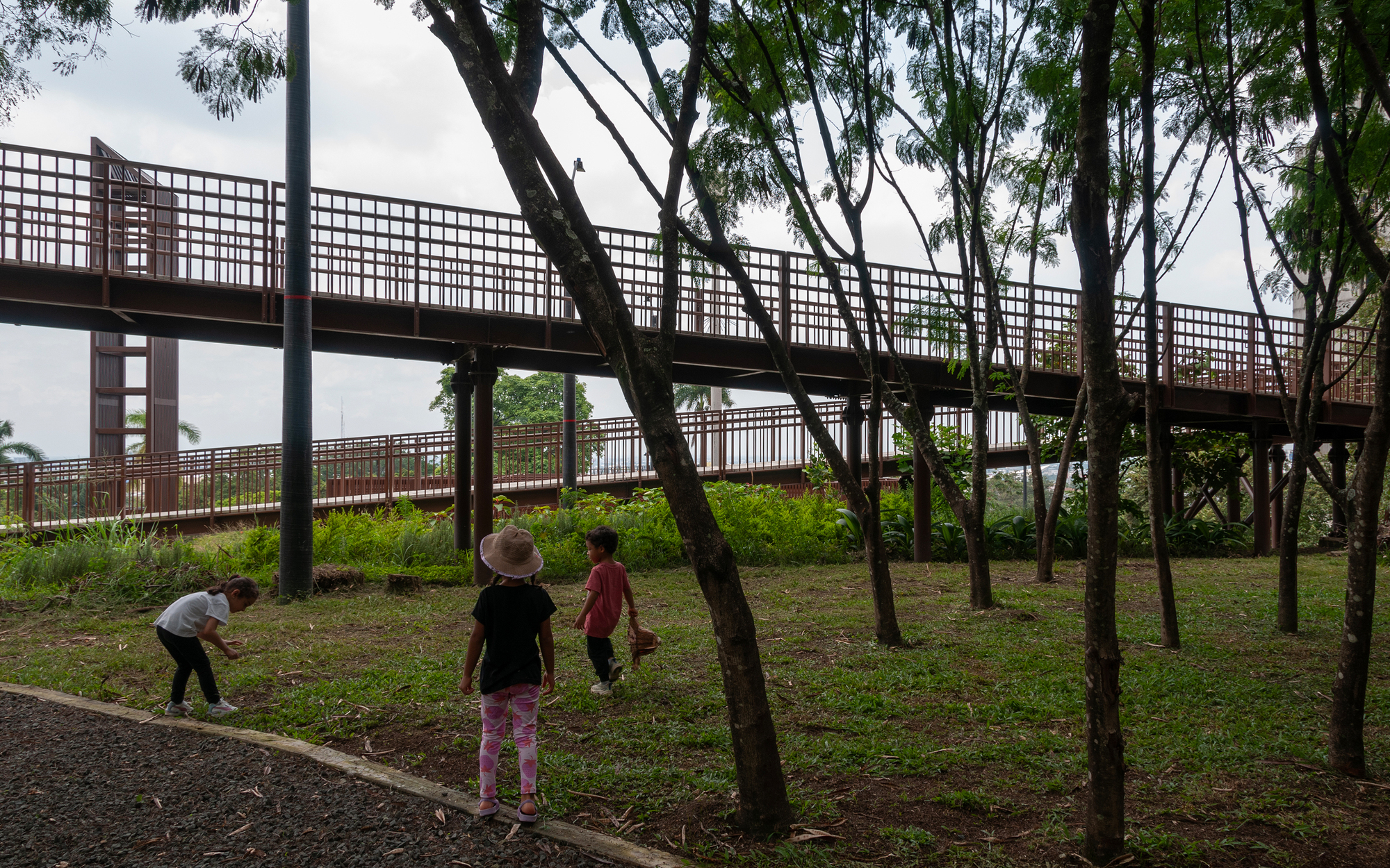Elevated steel walkway with rust-toned railings above a grassy slope where three children play beneath slender trees