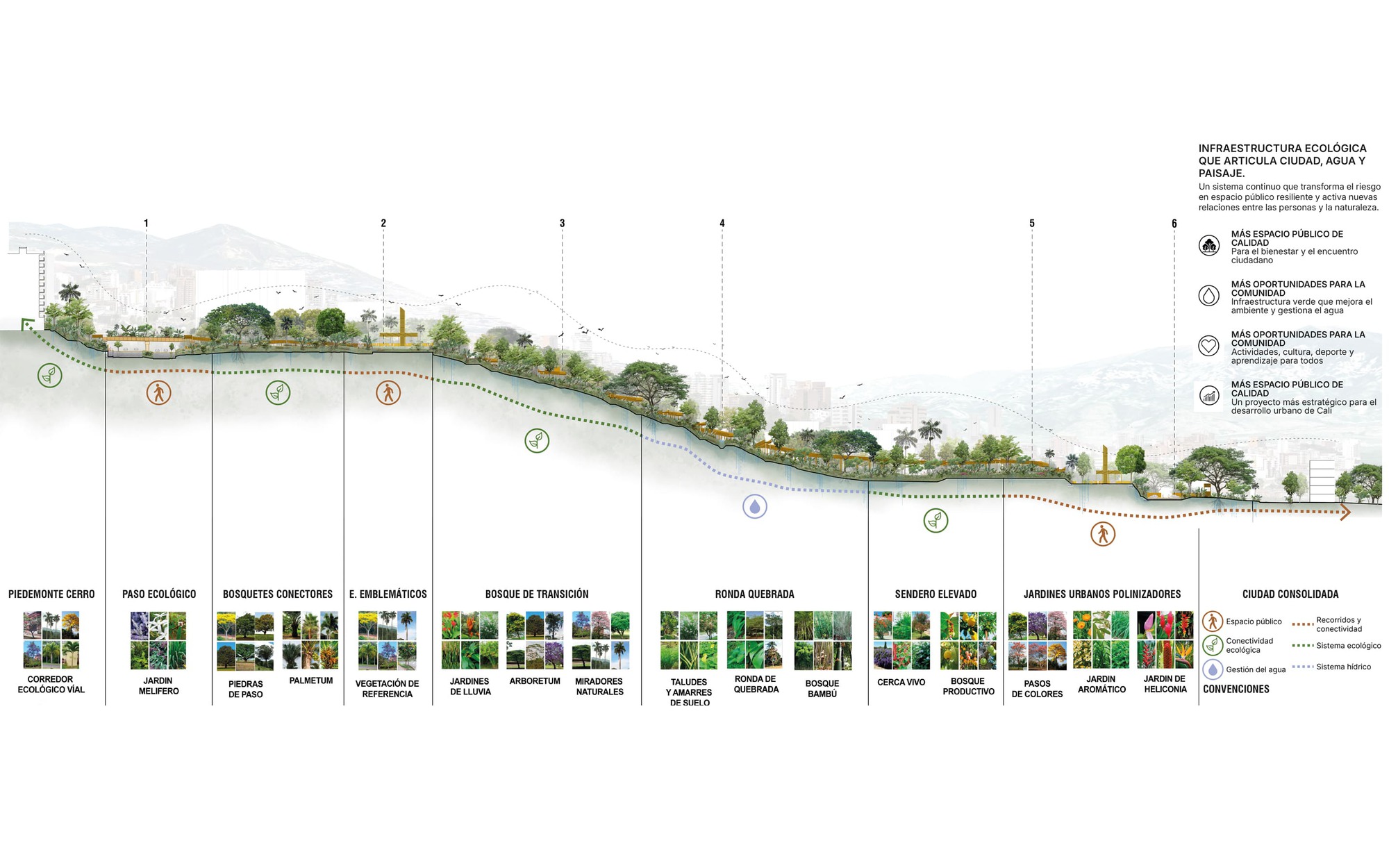 Longitudinal section drawing of a hillside ecological corridor stepping down through planted zones, with a legend of vegetation types and city skyline behind