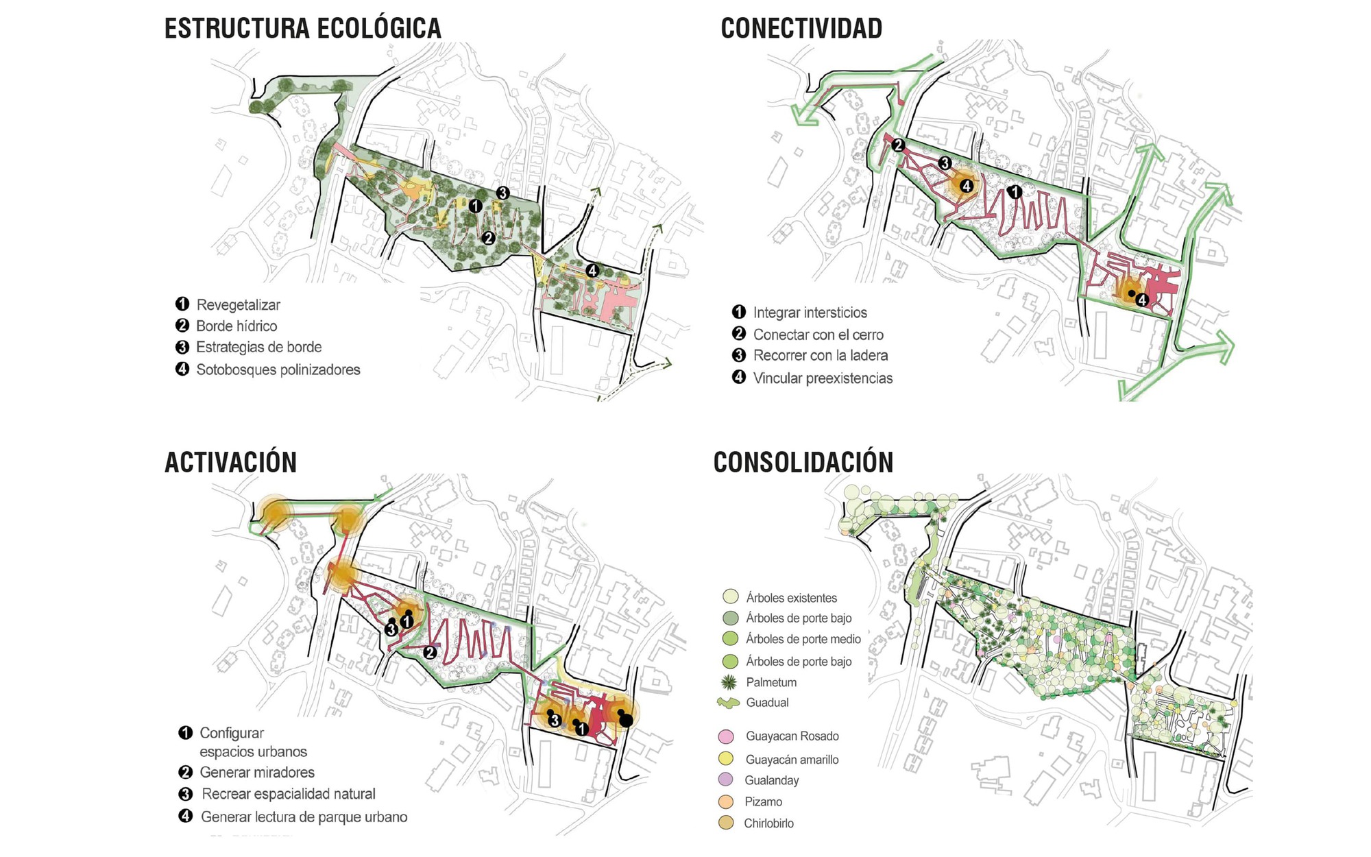 Four diagrammatic site plans showing ecological structure, connectivity, activation and consolidation, with red paths and green planting overlaid on a street gr