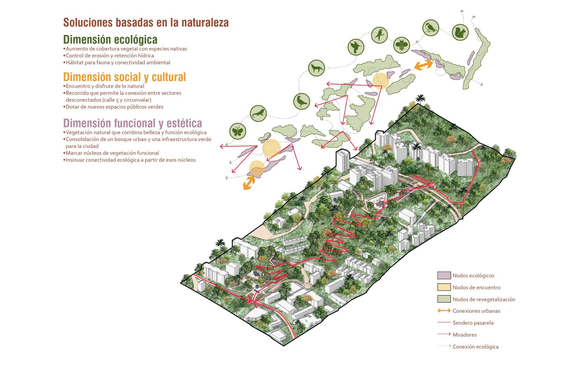 Axonometric drawing of a sloped site with a red elevated walkway zigzagging through trees, above a diagram of ecological nodes and animal icons
