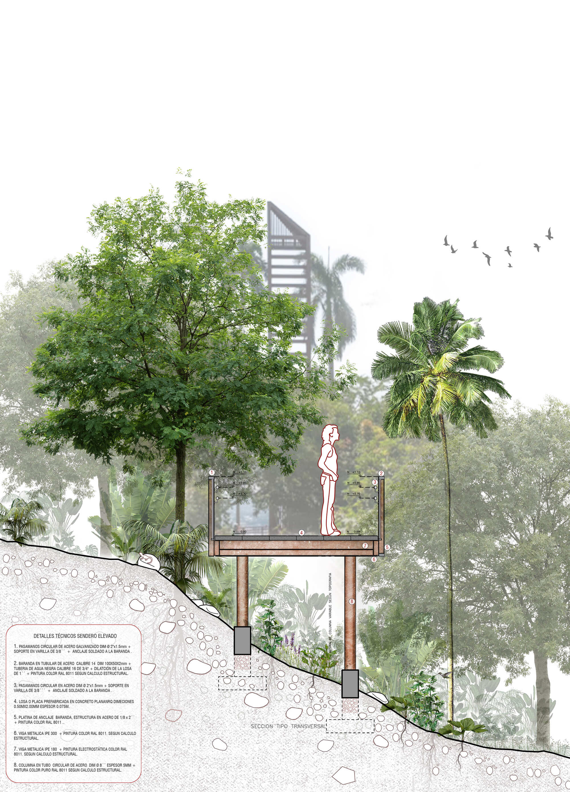Cross-section drawing of a raised steel walkway on slender posts over a slope, with a figure standing among trees, palms and flying birds