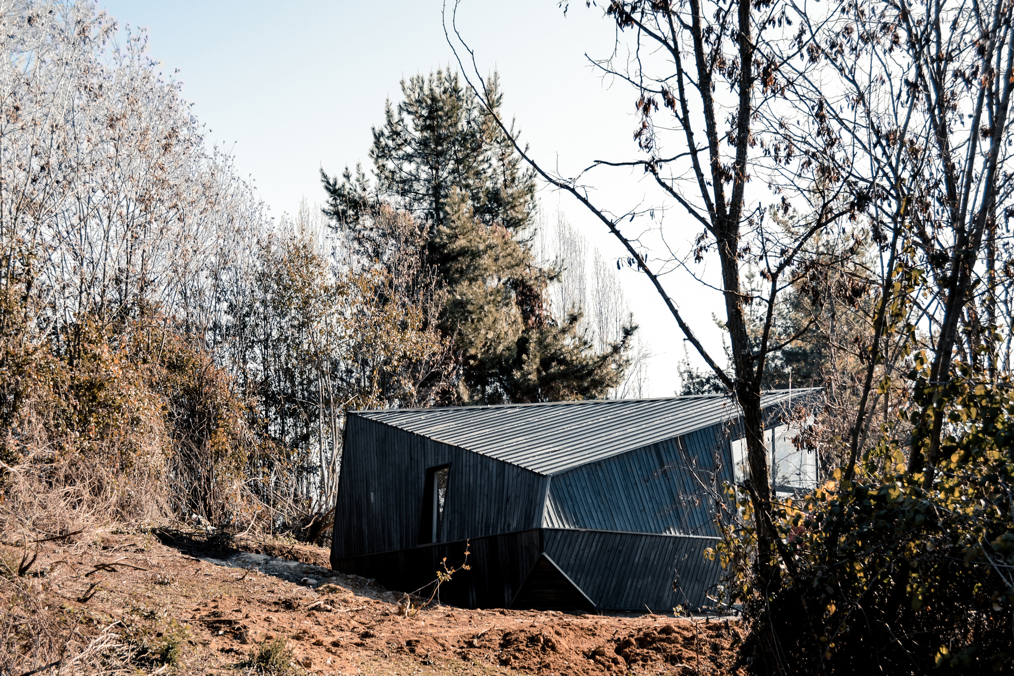 Faceted dark timber cabin with a folded metal roof half hidden by bare trees on a red earth slope