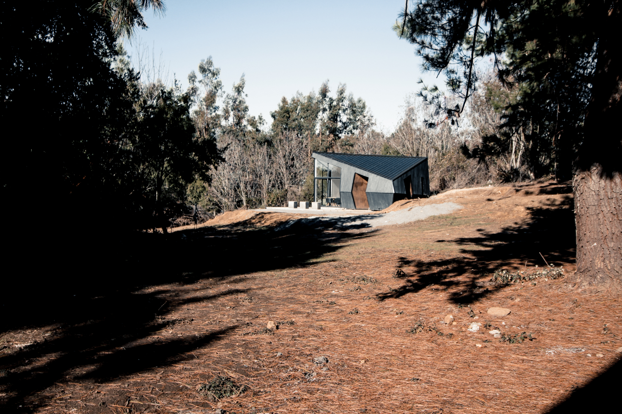 Distant view of the faceted dark cabin with a rust-toned door, seen across a pine-needle slope in hard sunlight