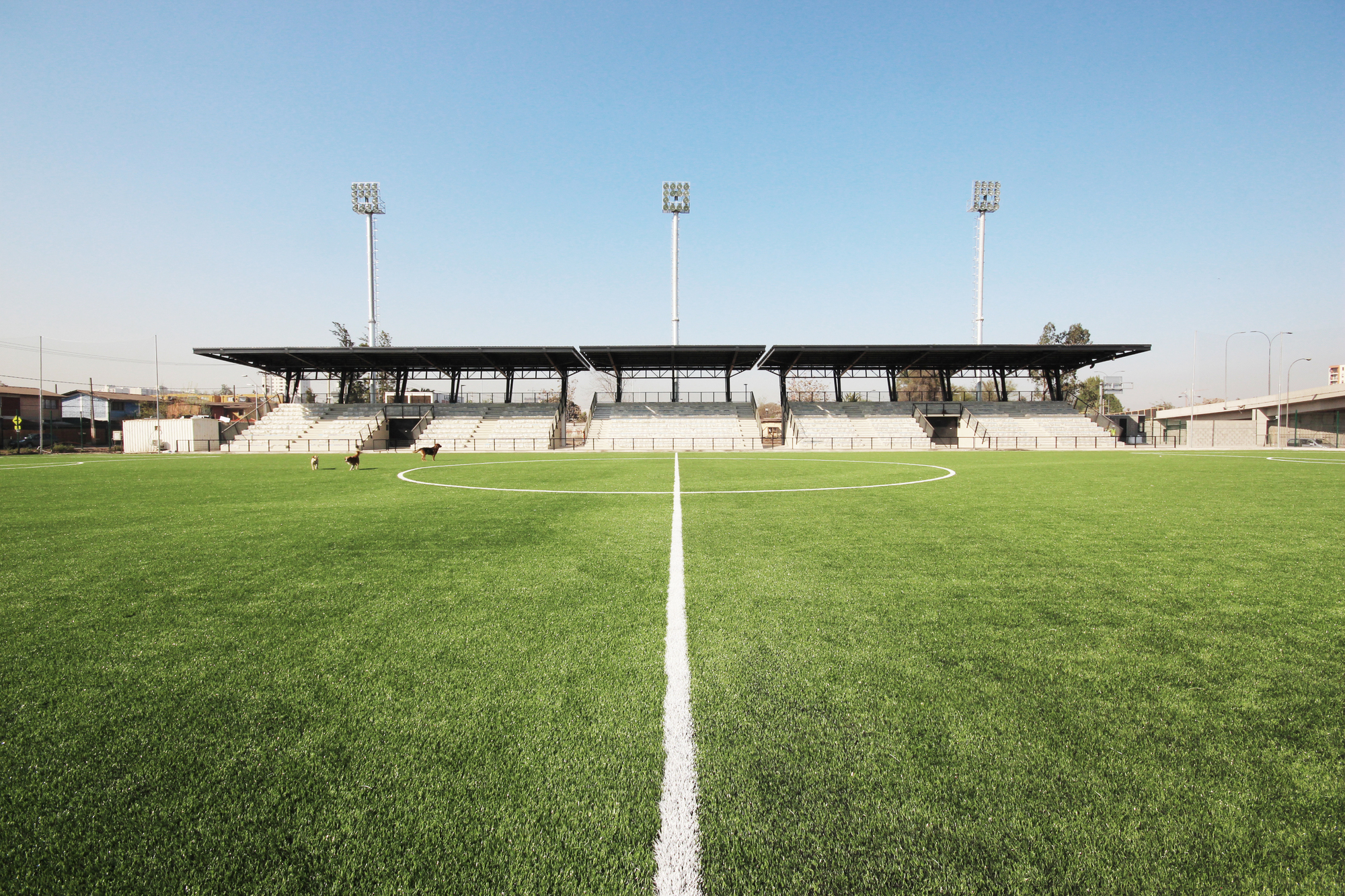 Ground-level view along the halfway line toward a covered grandstand and floodlight masts, with two dogs on the pitch under a clear blue sky