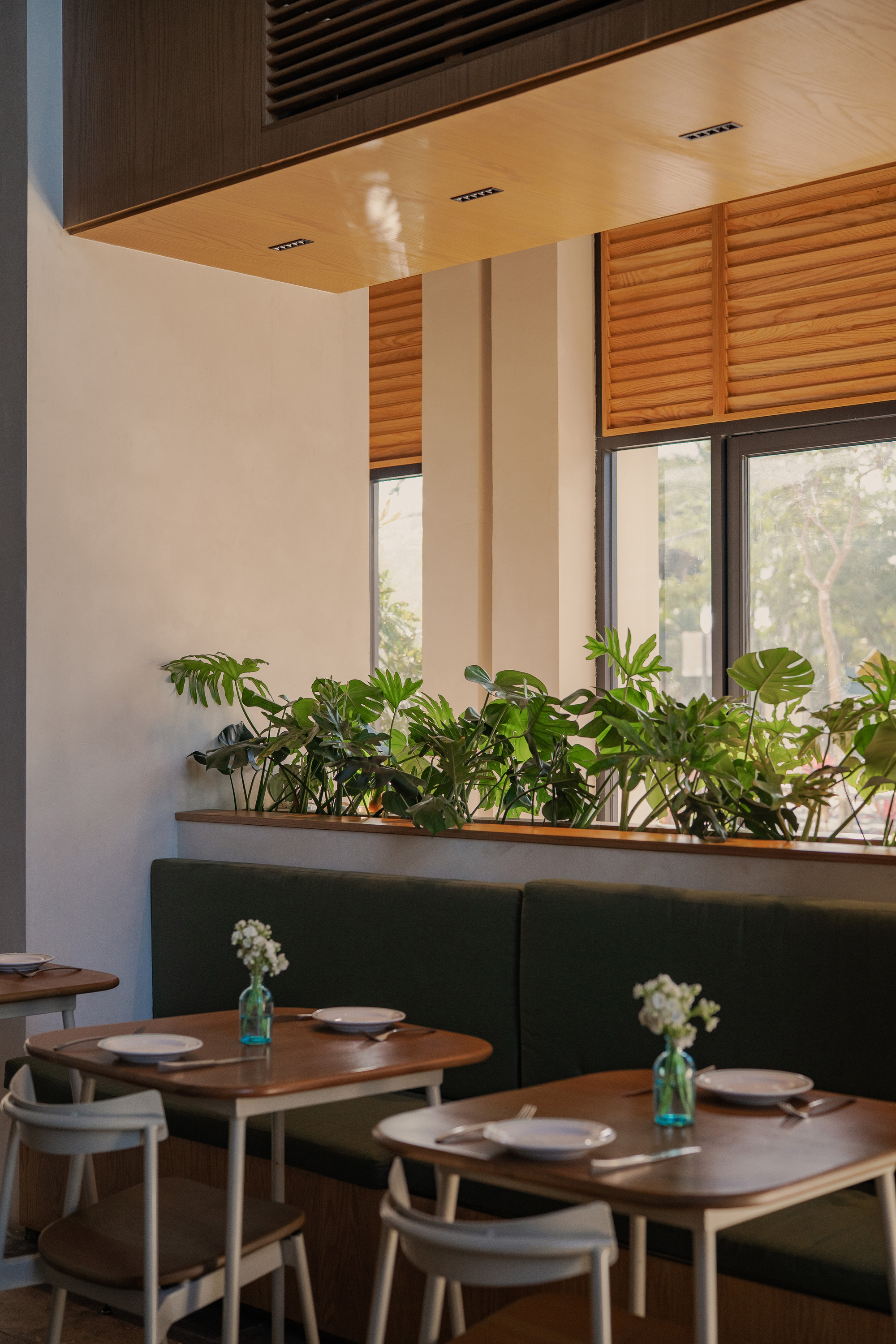 Dining area with a green banquette, wooden tables and a planter of monstera leaves beneath timber louvred windows in soft daylight