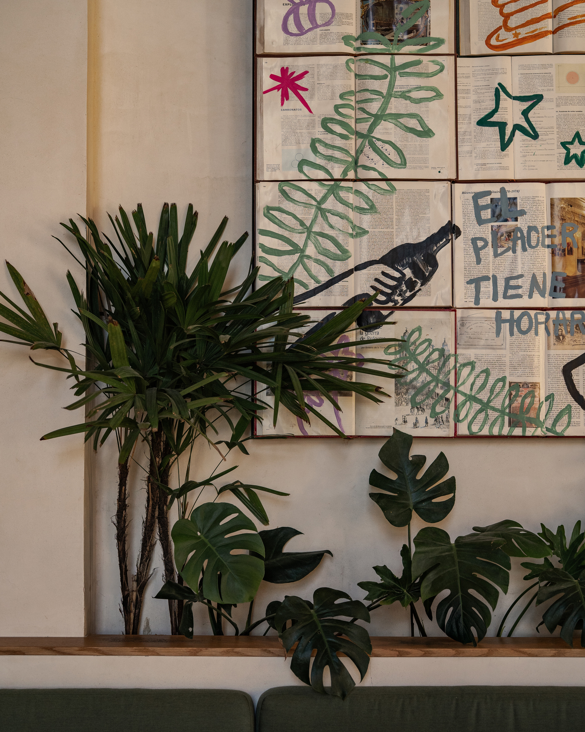 Palm and monstera plants on a timber ledge below a wall panel of painted book pages, above a green banquette