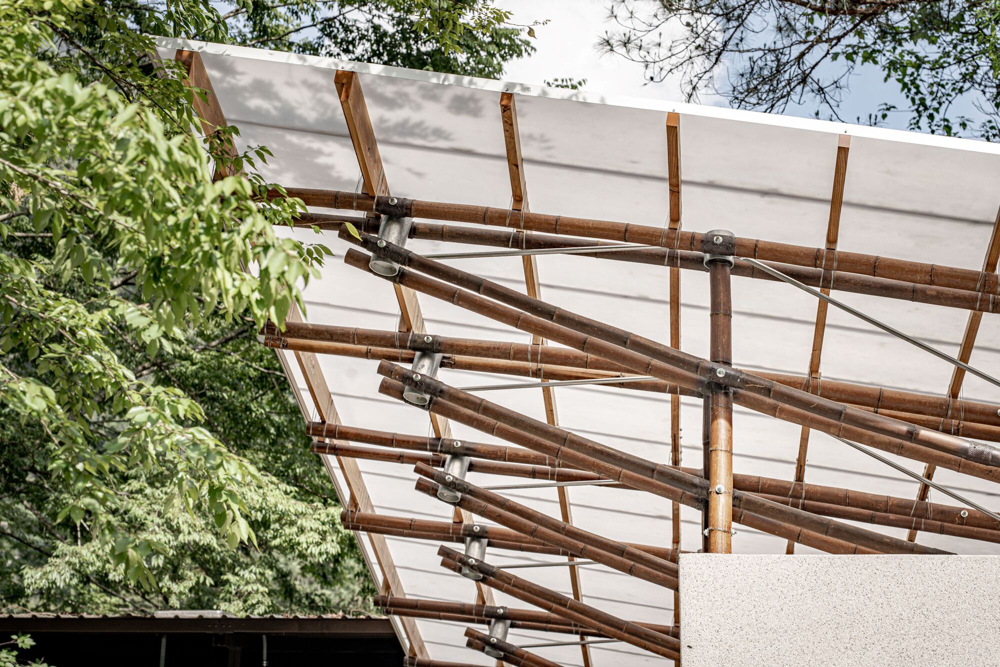 Close-up of bamboo rafters joined with steel clamps beneath a translucent roof sheet, framed by leafy branches