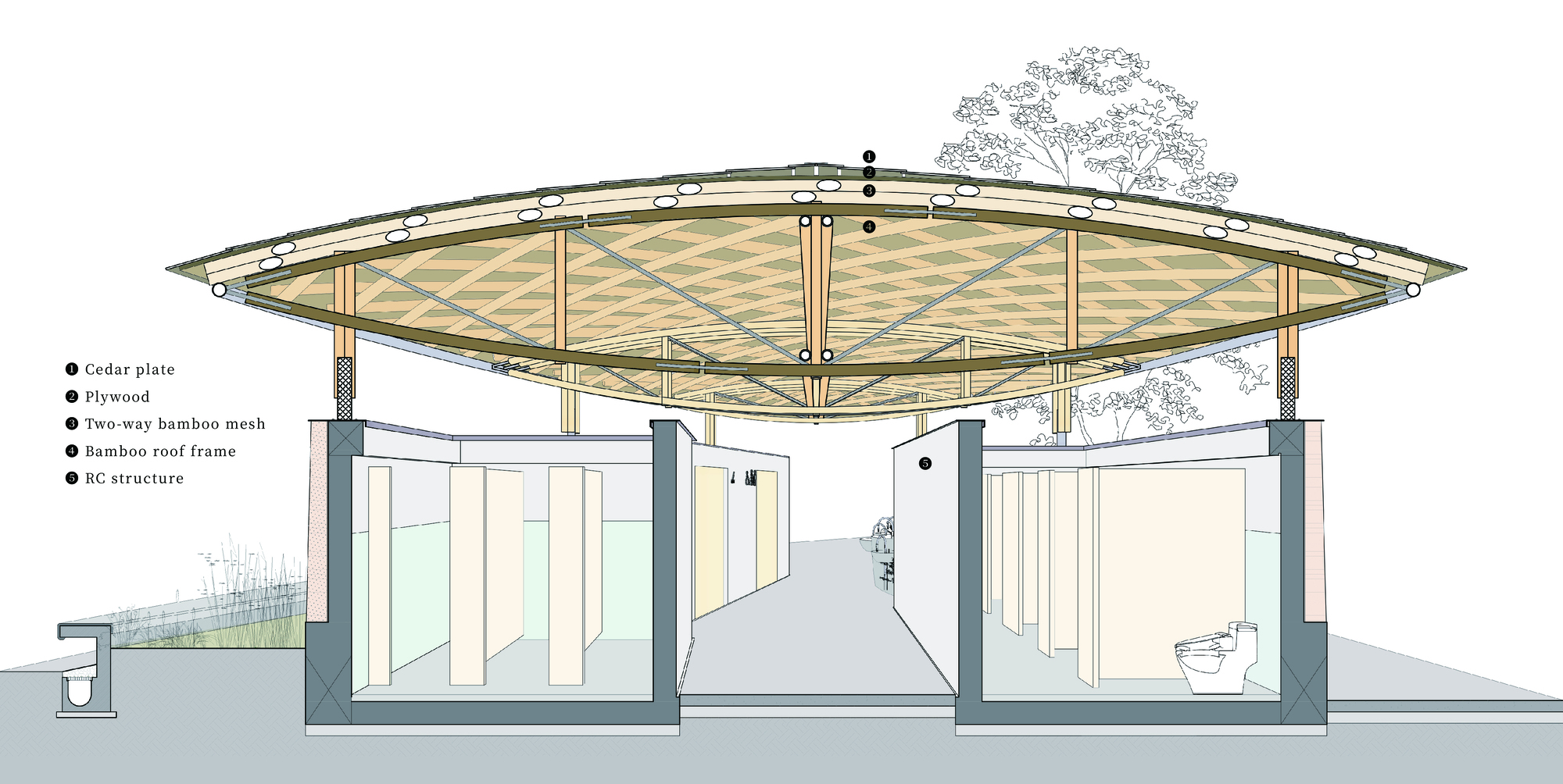 Sectional perspective drawing of the bamboo lattice roof above two restroom blocks with stalls and a central walkway, a tree behind