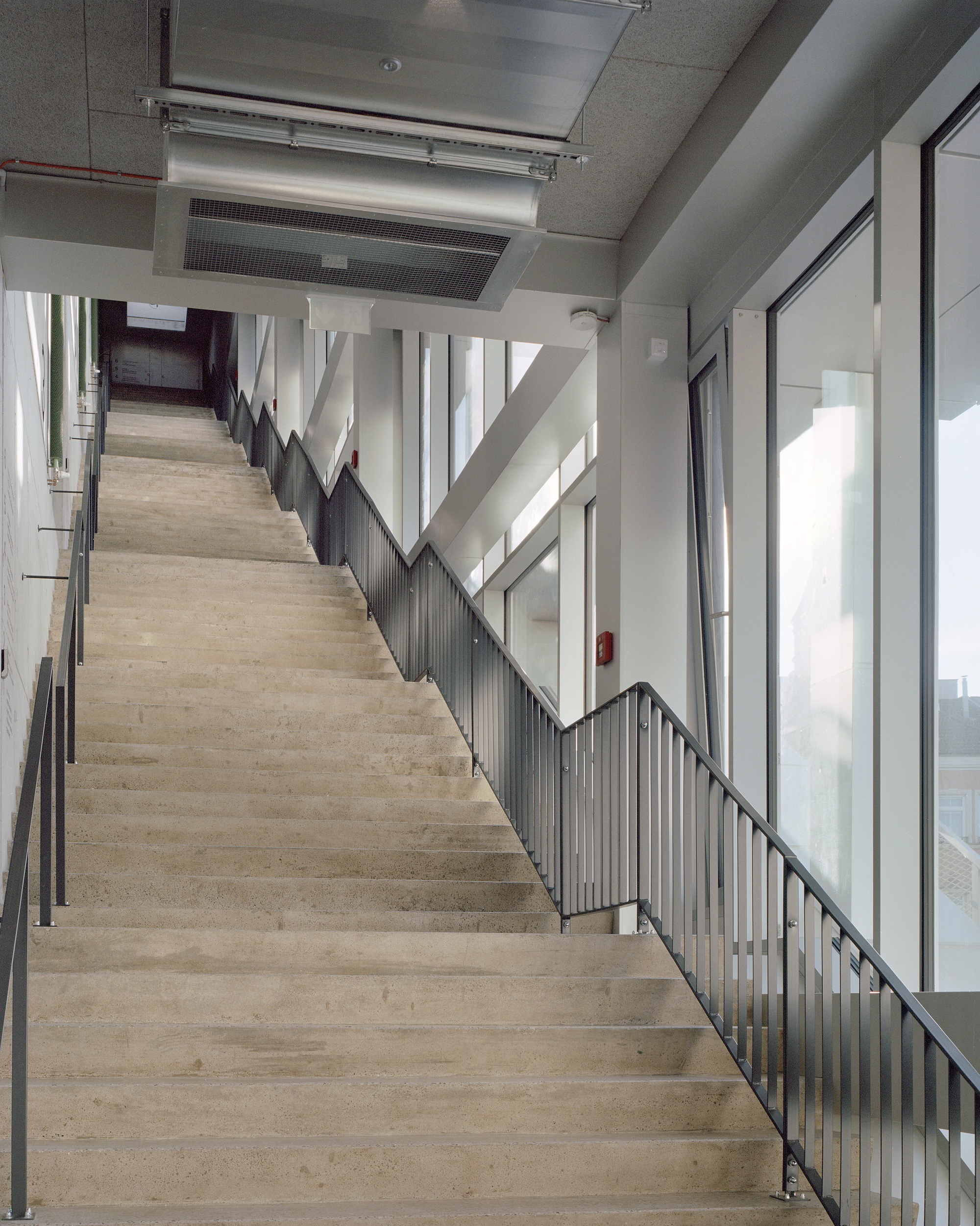Wide concrete staircase with a grey steel balustrade rising beside a tall glazed wall in soft daylight