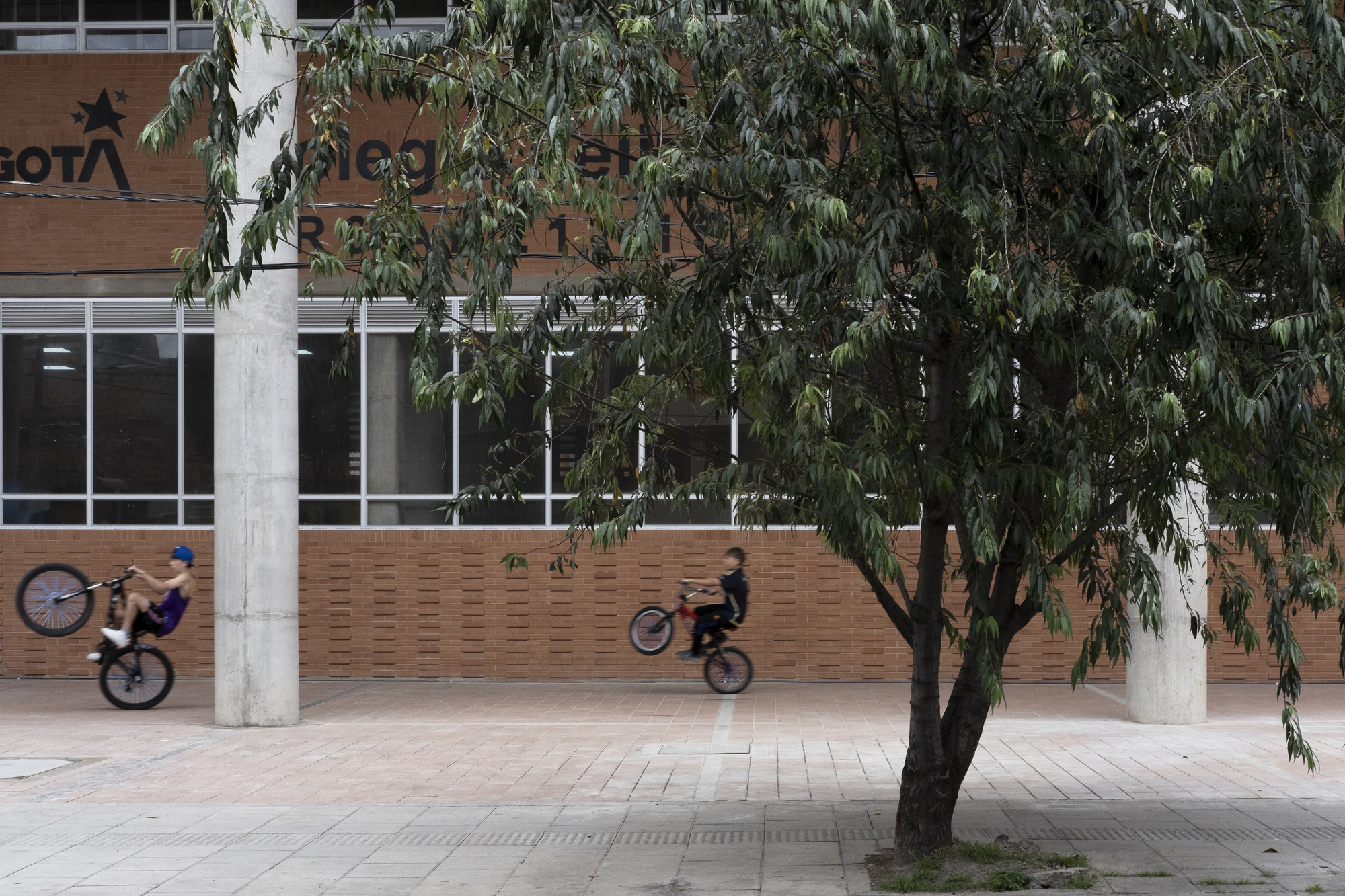 Two children popping wheelies on bicycles past concrete columns and a brick wall, framed by a leafy tree