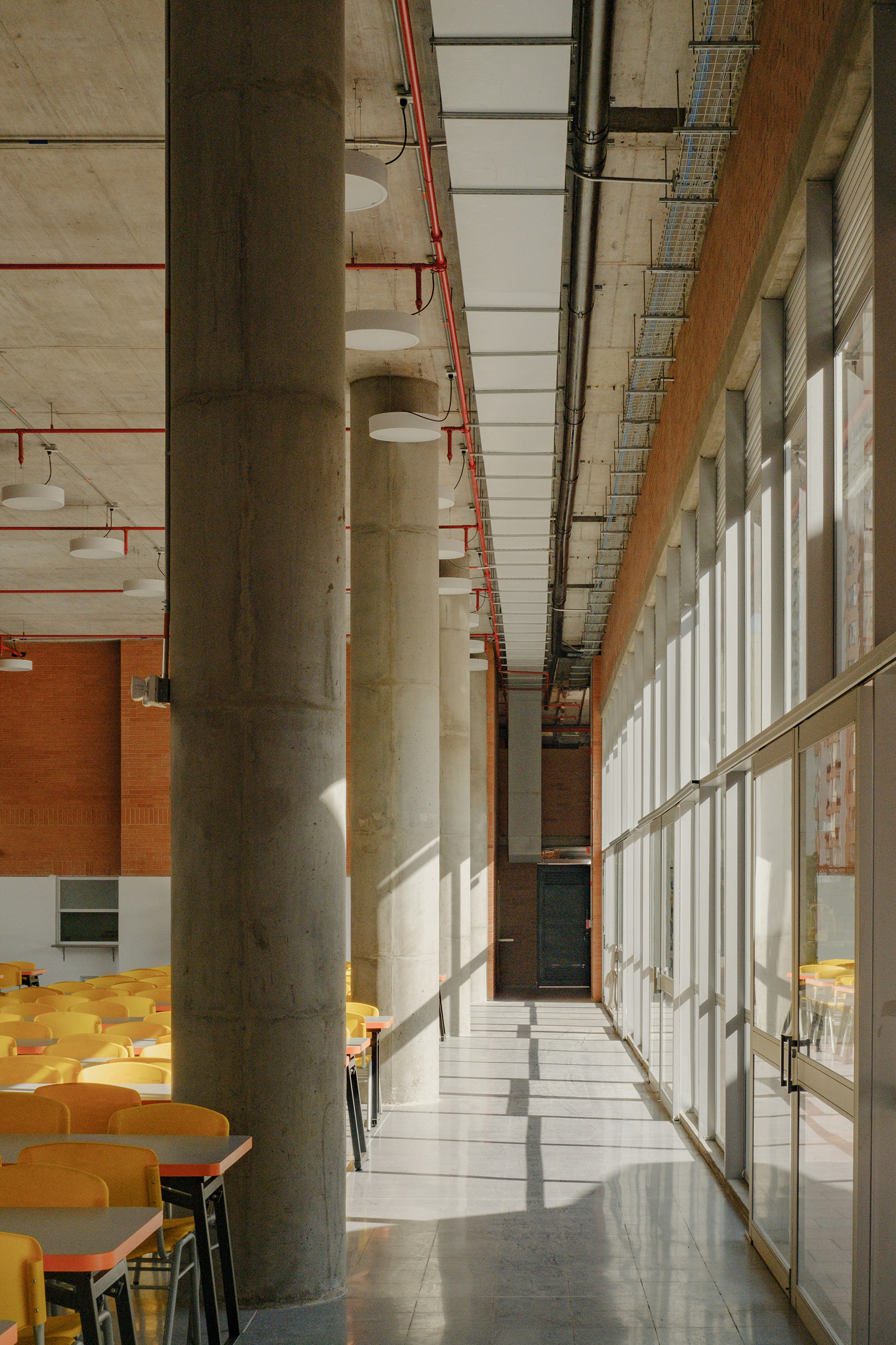 Dining hall with round concrete columns, yellow chairs and a glazed wall casting sharp sunlight across the polished floor
