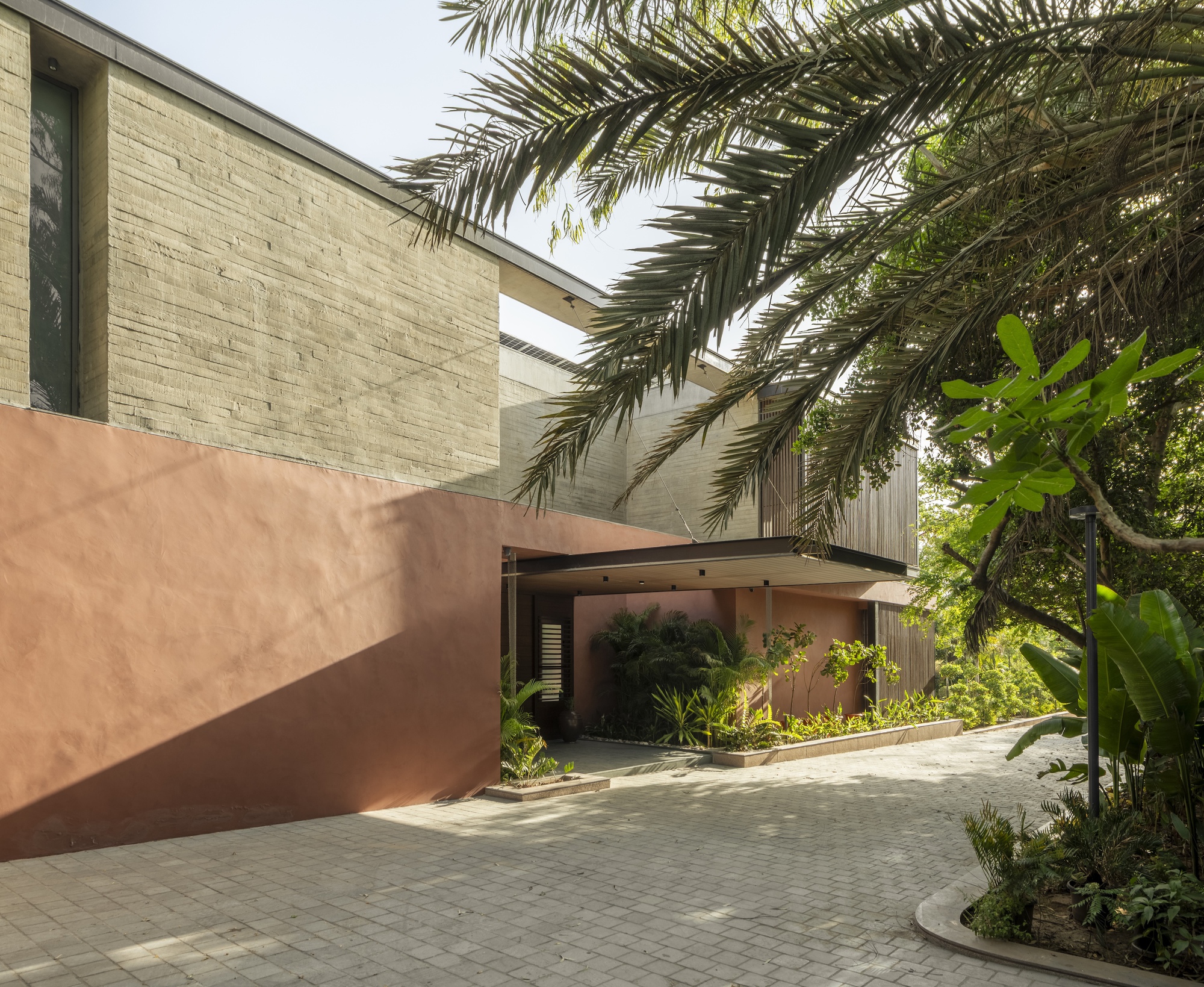 Entry court with board-marked concrete upper wall, terracotta plastered base and a slim canopy, shaded by palm fronds over paving