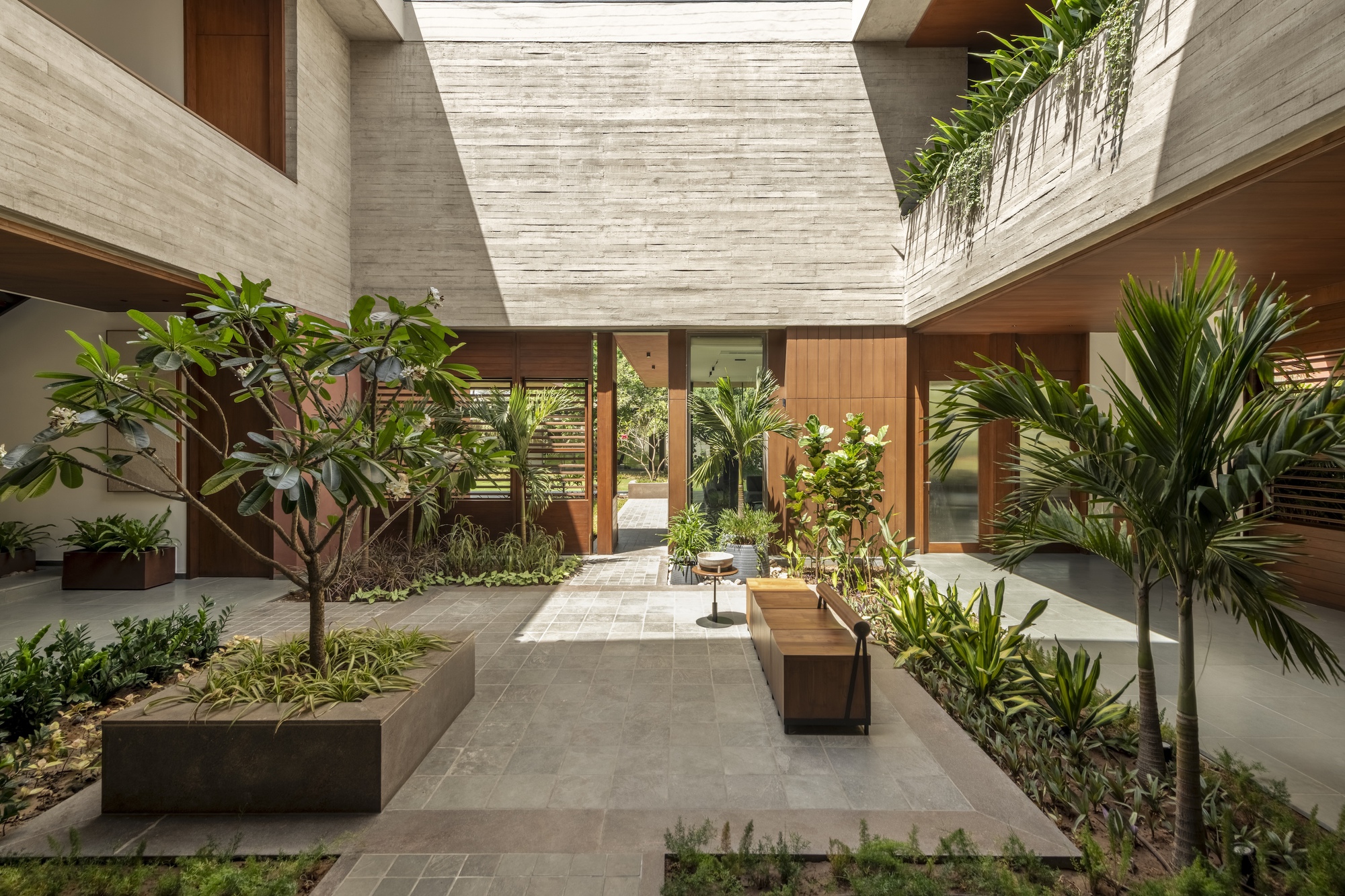 Central courtyard with a planted bed, timber bench and palms, framed by board-marked concrete walls and timber panelling in daylight