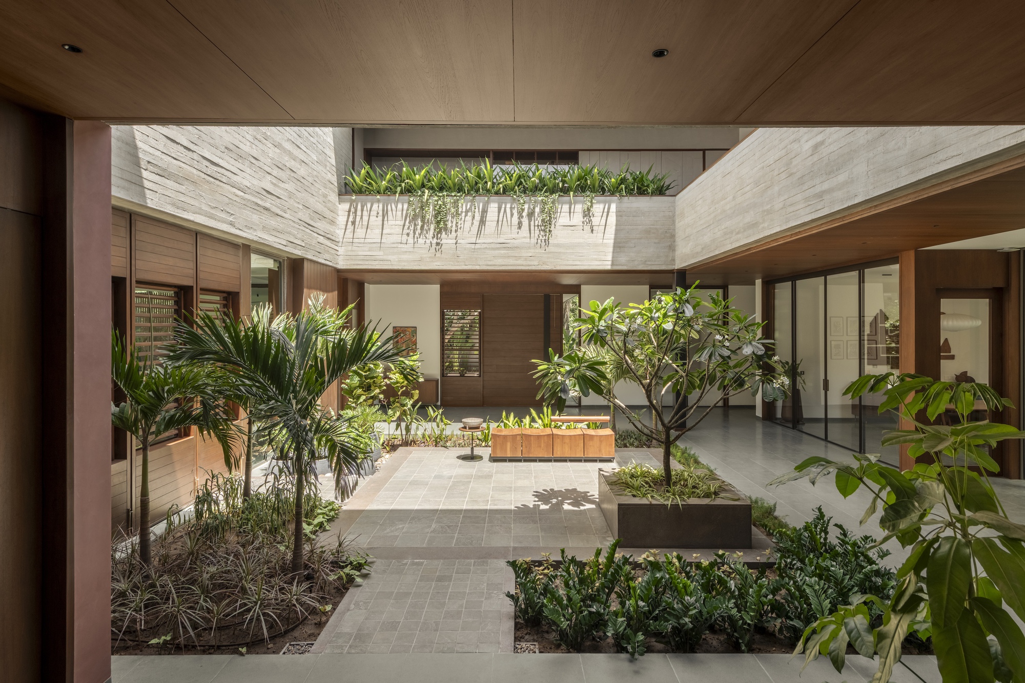Inner courtyard with a frangipani tree in a planter, stone paving and board-marked concrete walls draped with trailing plants