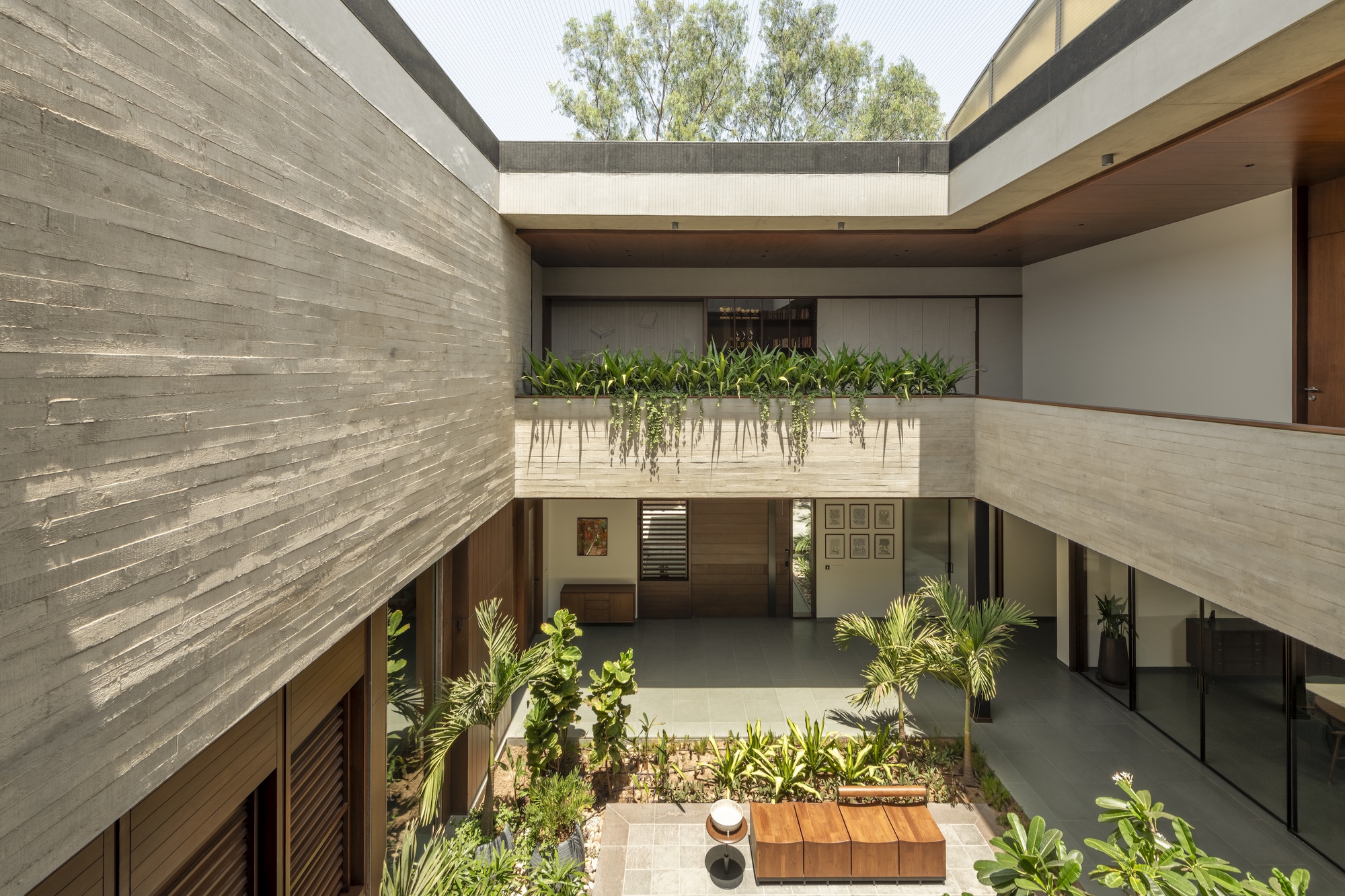 Courtyard seen from above, with board-marked concrete walls, a planted upper ledge and palms around a timber bench in daylight