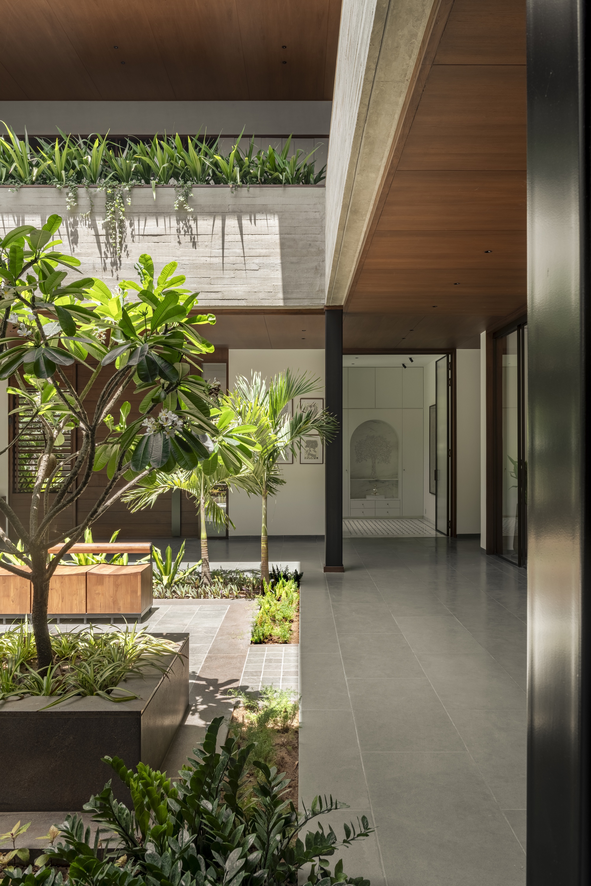 Frangipani tree and low planters beside a grey stone-tiled walkway under a timber-lined ceiling, with dappled sunlight