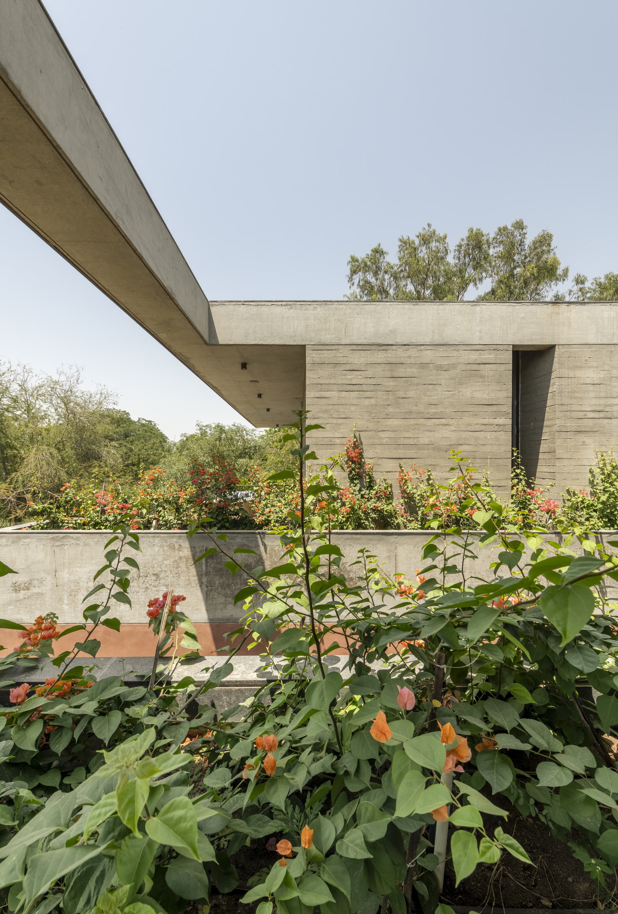 Cantilevered concrete roof slab above a planted terrace edge, with orange bougainvillea blooming in the foreground under a clear sky