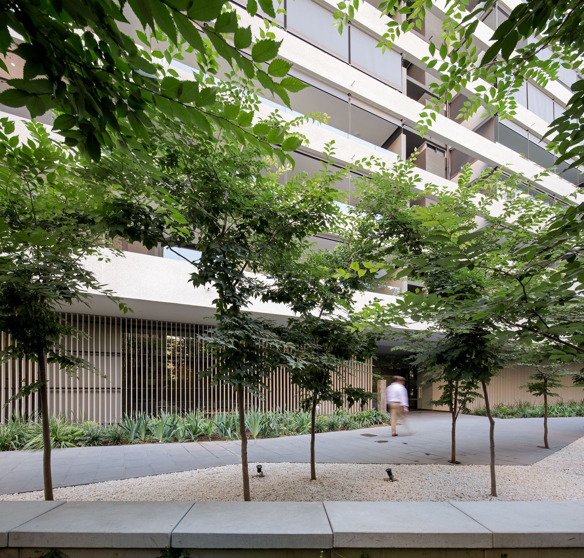 Young trees in a gravel courtyard in front of a slatted ground-floor screen, with a man walking past under stacked balconies