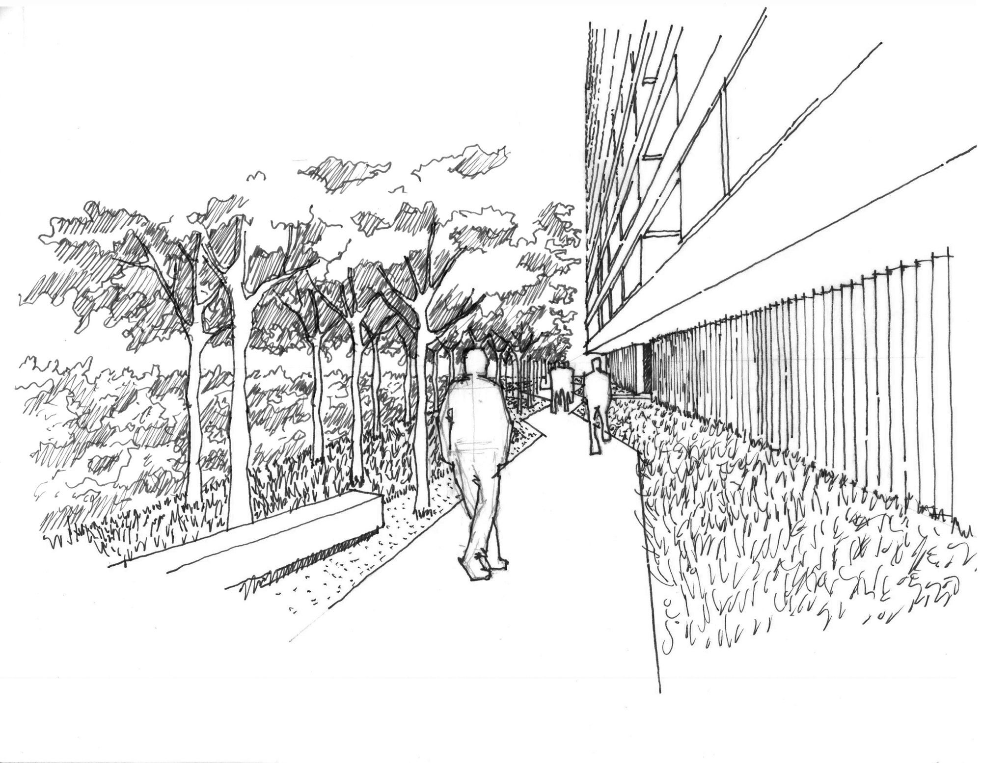 Perspective sketch drawing of a tree-lined walkway with a low bench, pedestrians and a slatted building facade on the right