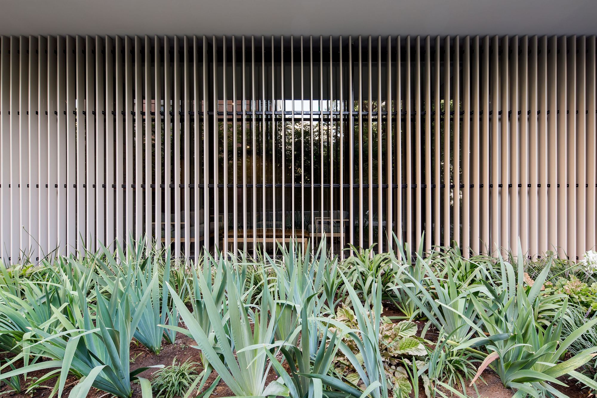 Vertical timber fins screening a glazed wall, with agave and broadleaf plants filling the planted bed in front