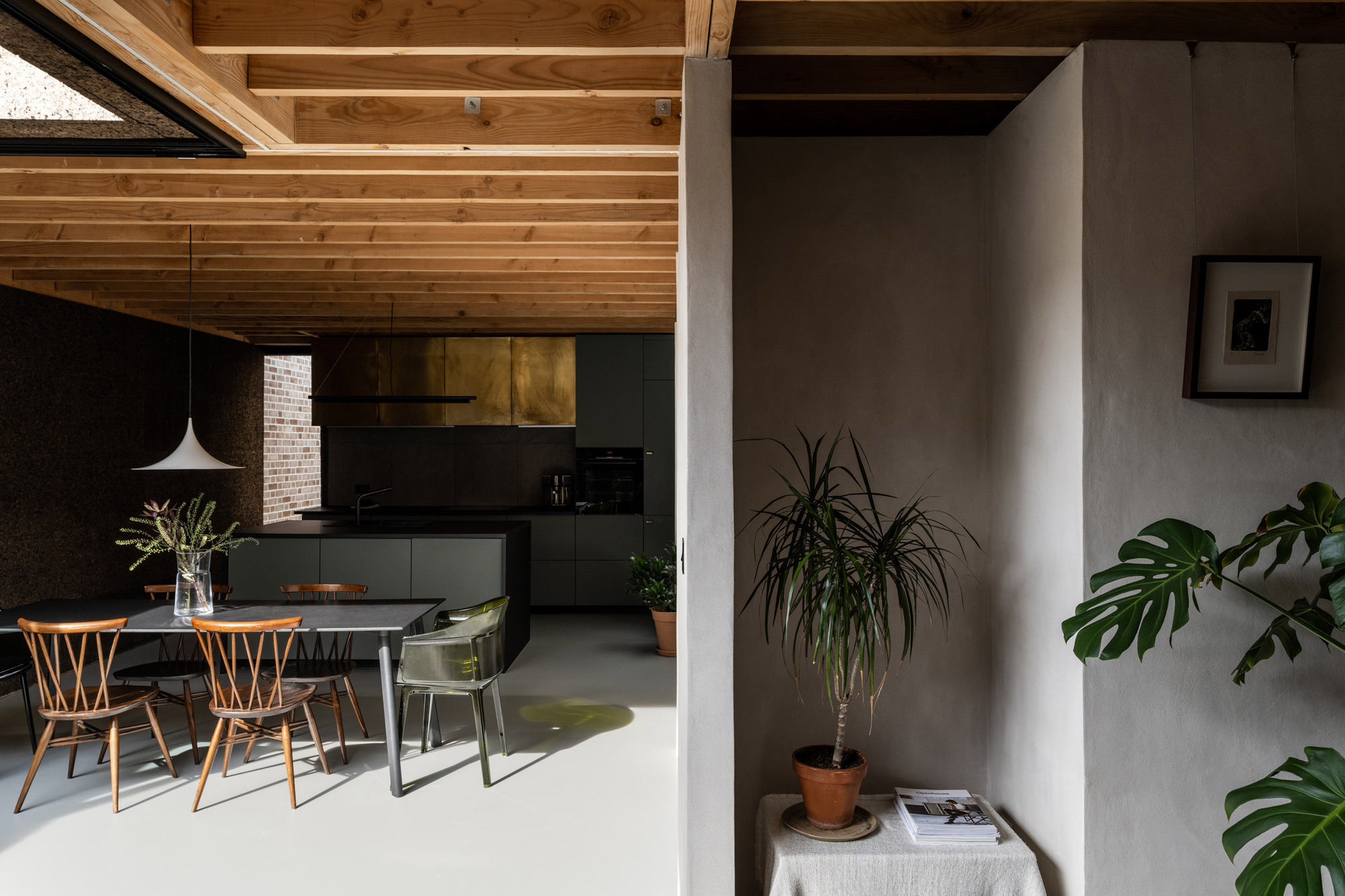 Kitchen with brass-fronted cabinets seen past a plastered wall, a potted dracaena and a monstera leaf in soft shade